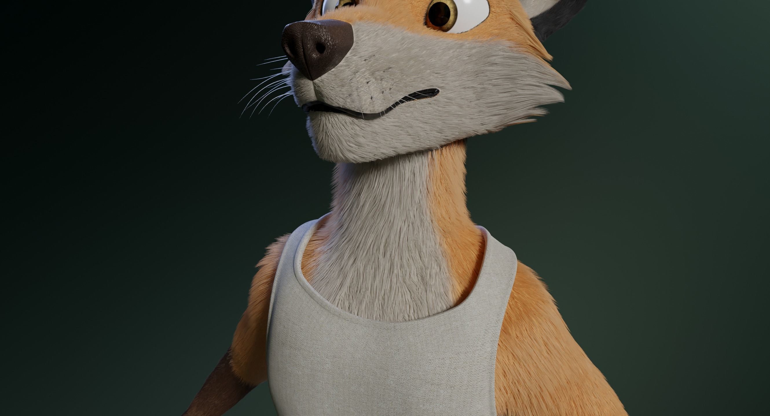 Hassun Anthro Fox 3D model_30