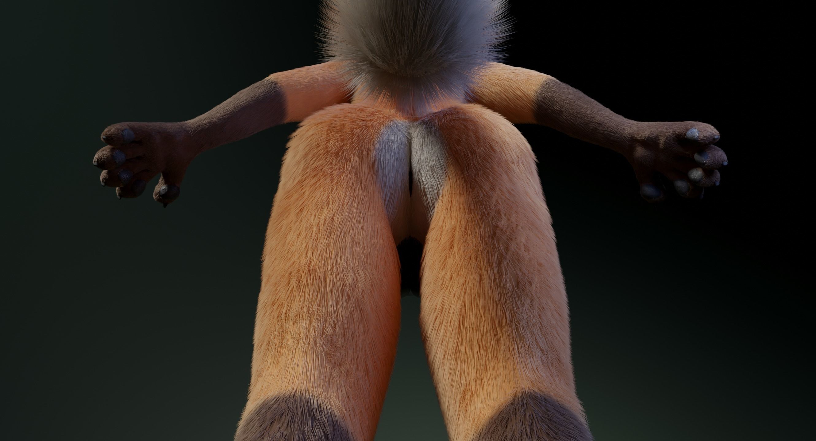 Hassun Anthro Fox 3D model_16