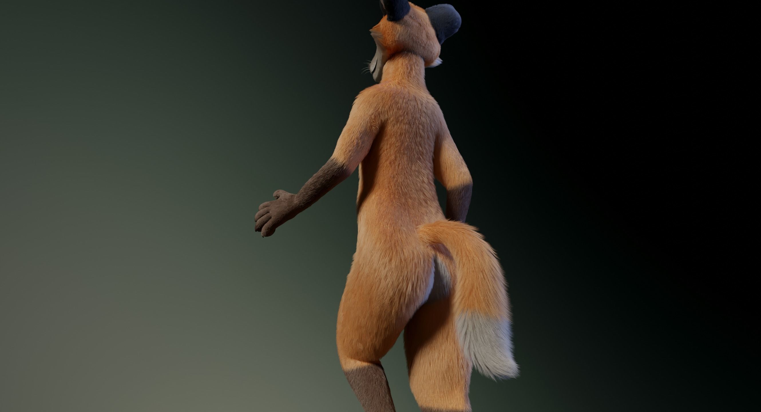 Hassun Anthro Fox 3D model_22