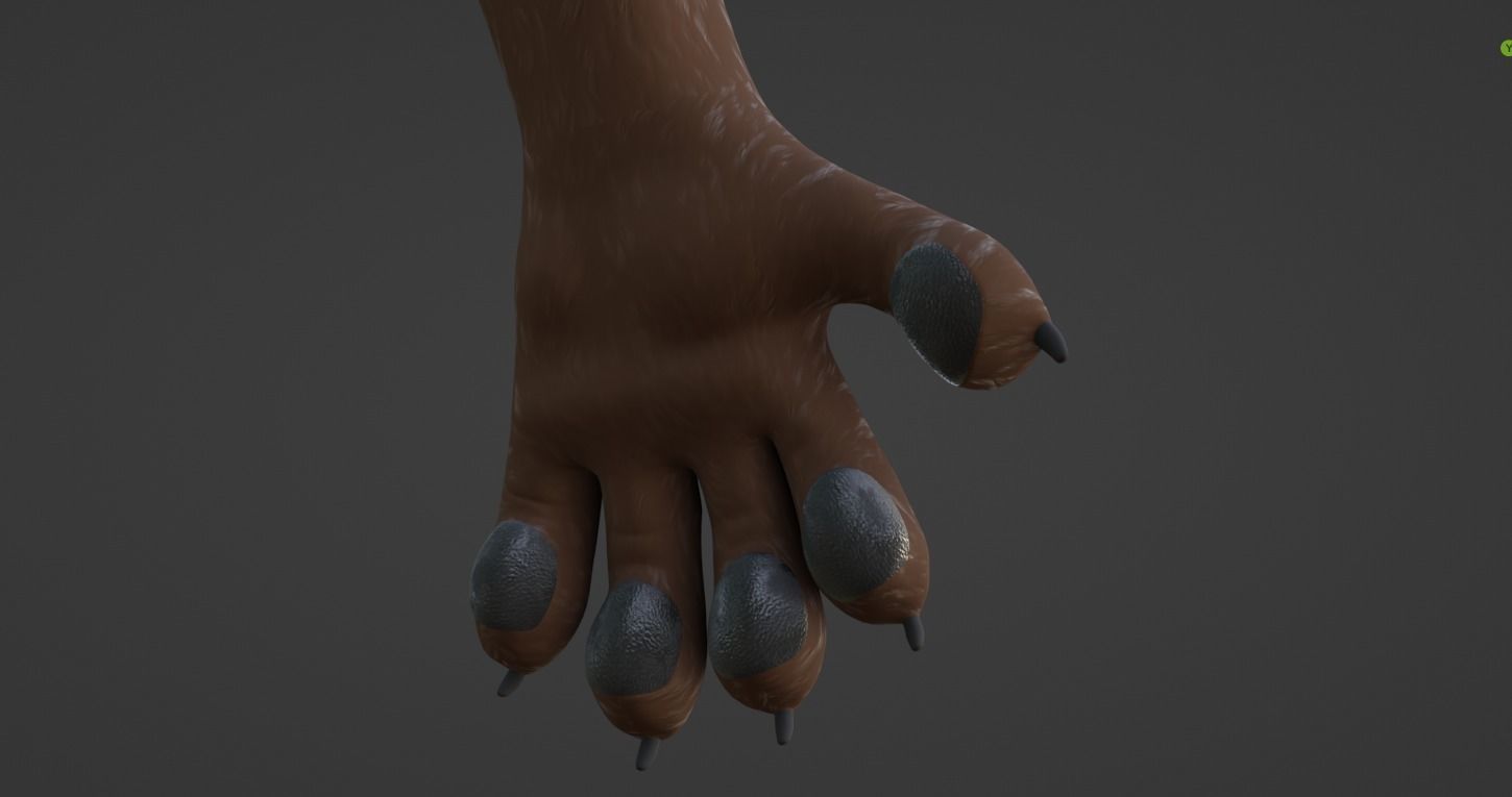 Hassun Anthro Fox 3D model_55