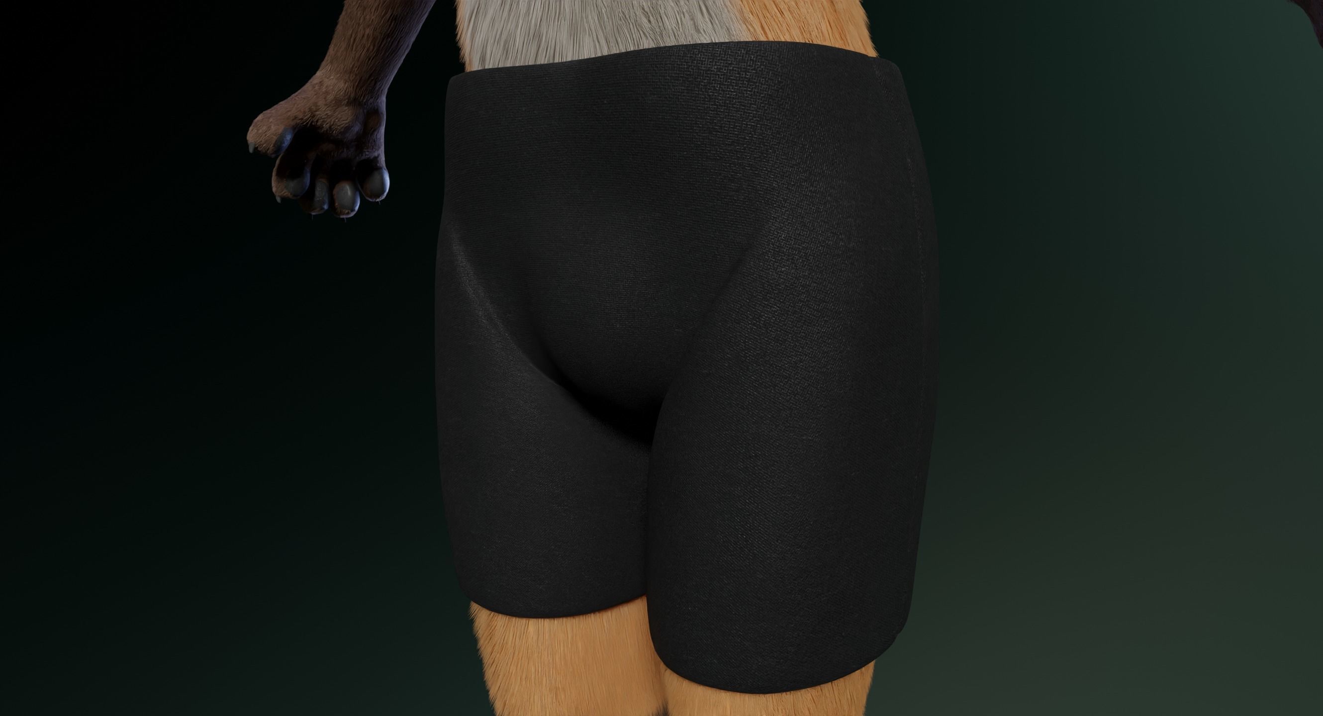 Hassun Anthro Fox 3D model_26