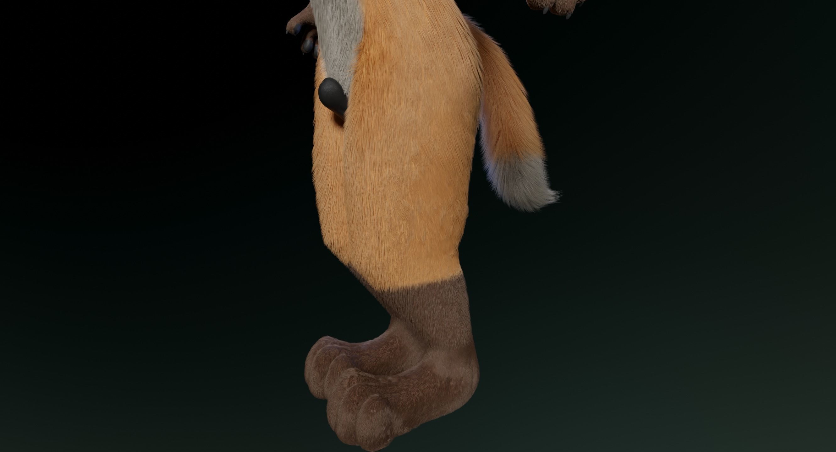 Hassun Anthro Fox 3D model_8