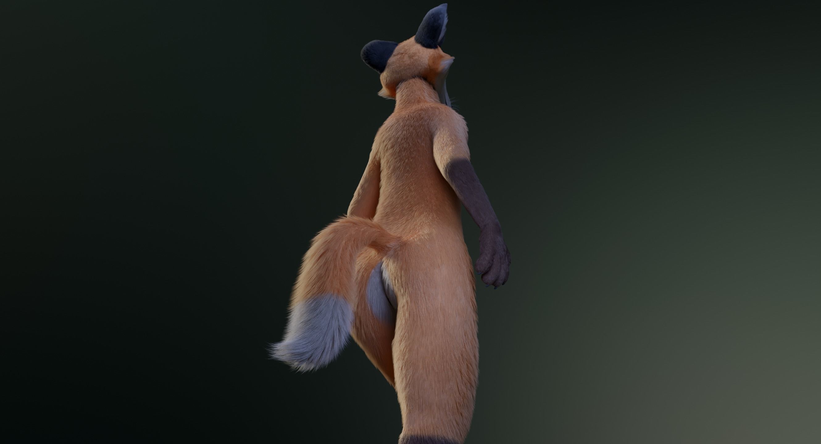 Hassun Anthro Fox 3D model_23