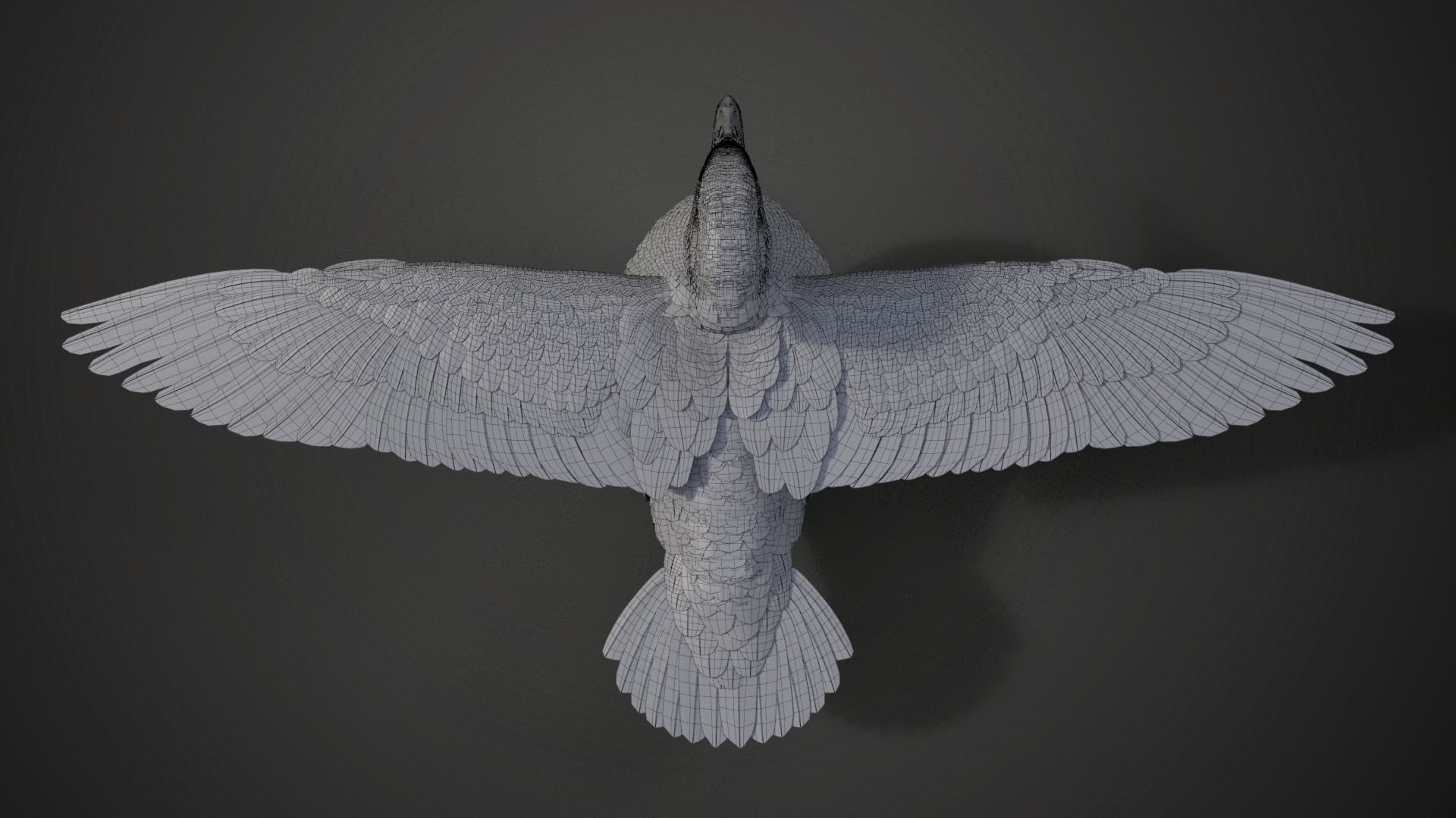 Mandarin Duck Female Animated VFX Grace 3D model_22