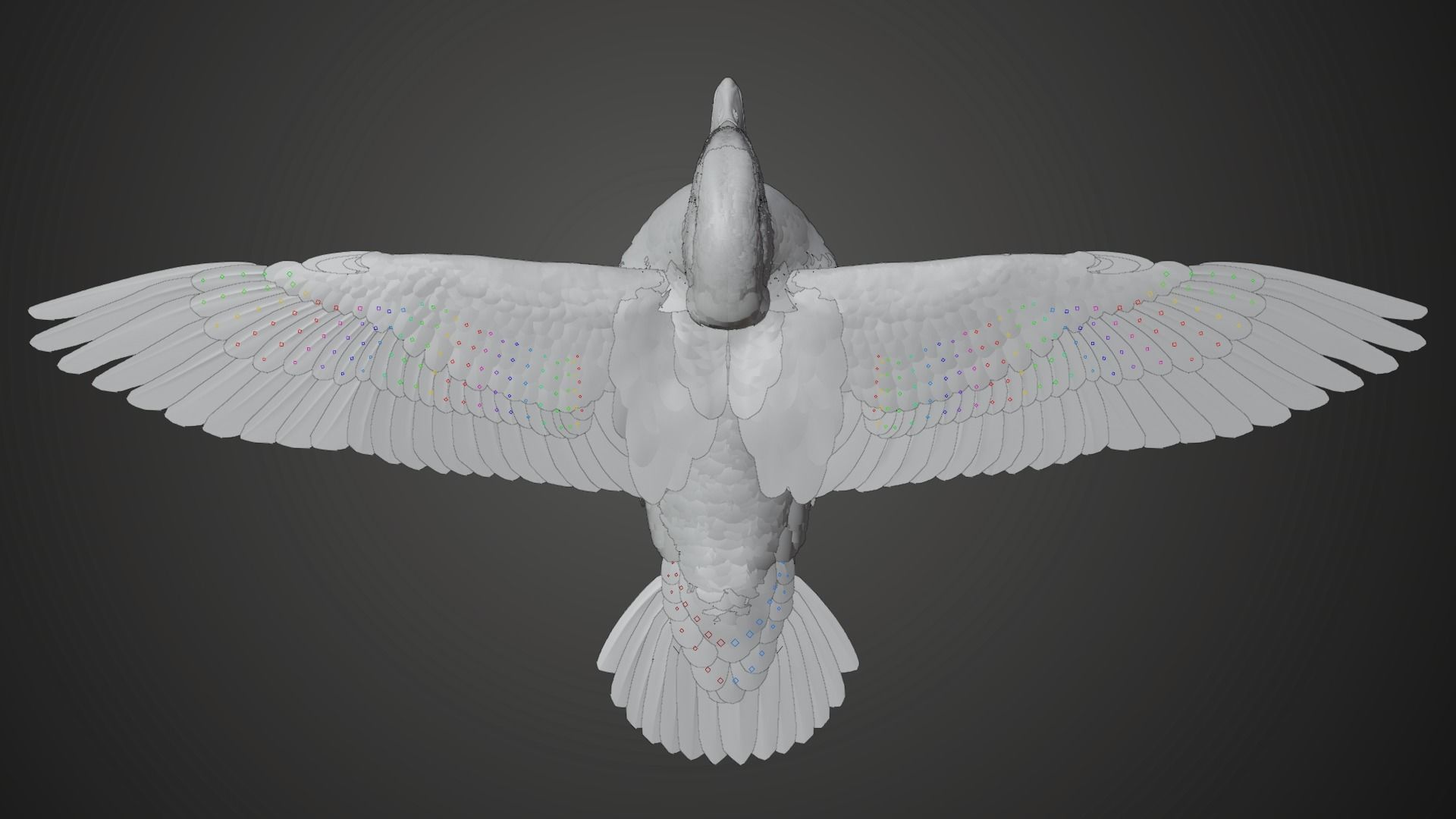 Mandarin Duck Female Animated VFX Grace 3D model_12