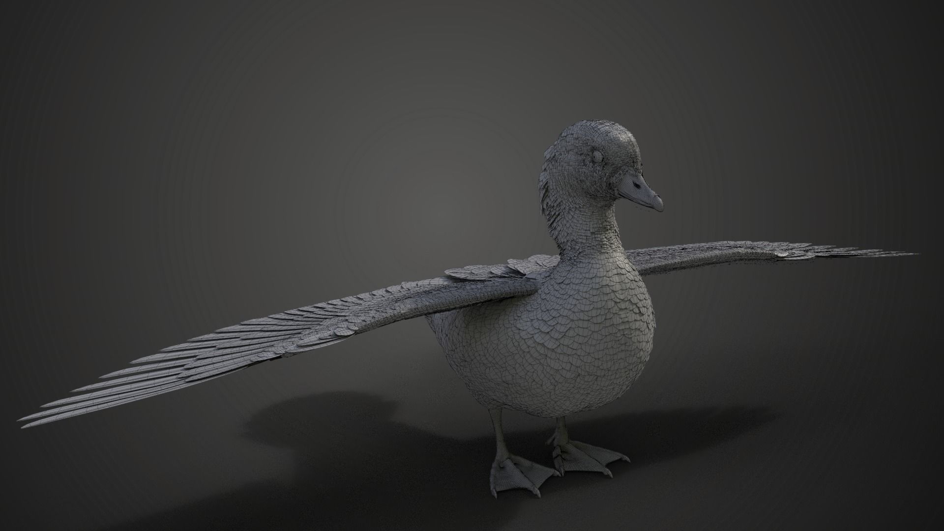 Mandarin Duck Female Animated VFX Grace 3D model_19