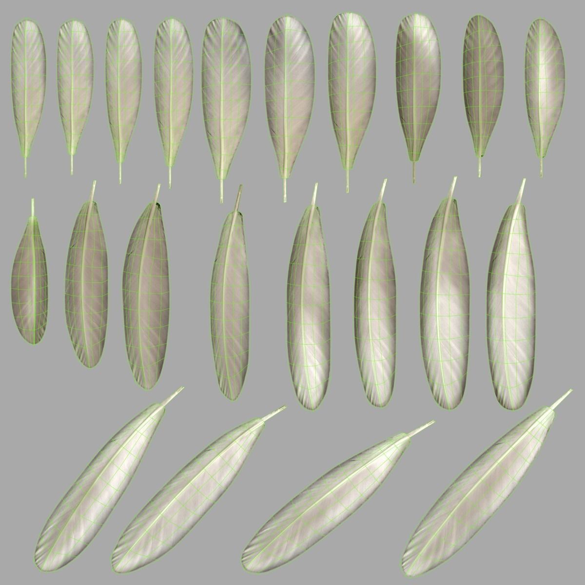 Mandarin Duck Female Animated VFX Grace 3D model_37