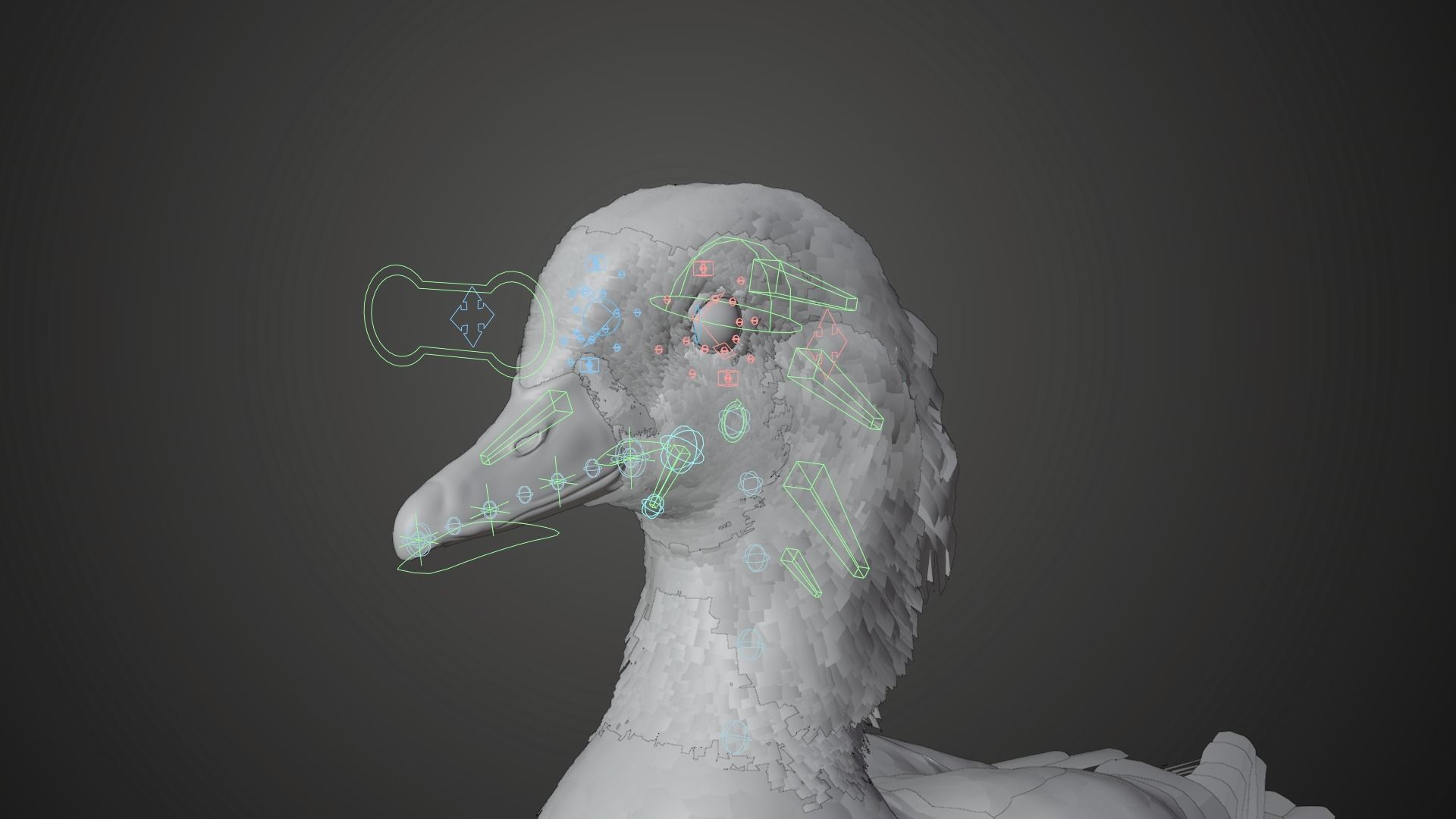 Mandarin Duck Female Animated VFX Grace 3D model_13