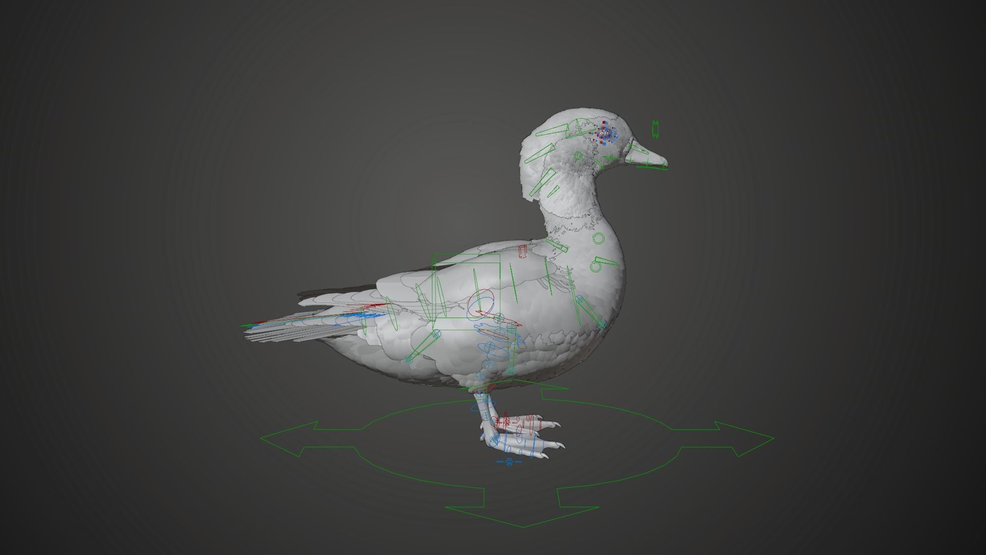 Mandarin Duck Female Animated VFX Grace 3D model_9