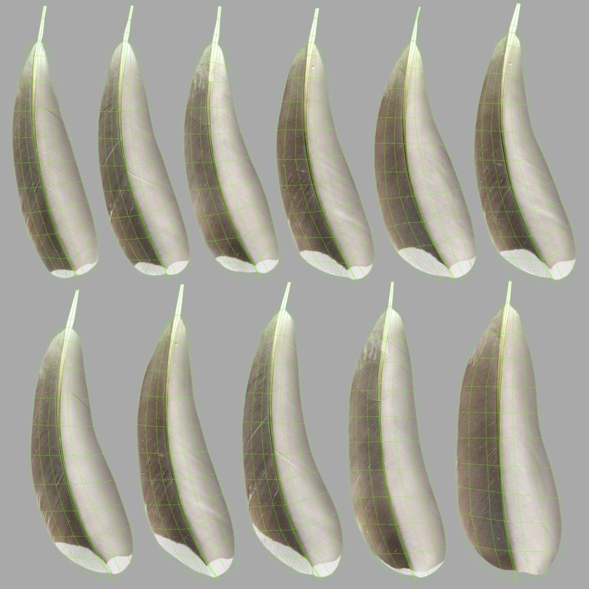 Mandarin Duck Female Animated VFX Grace 3D model_31