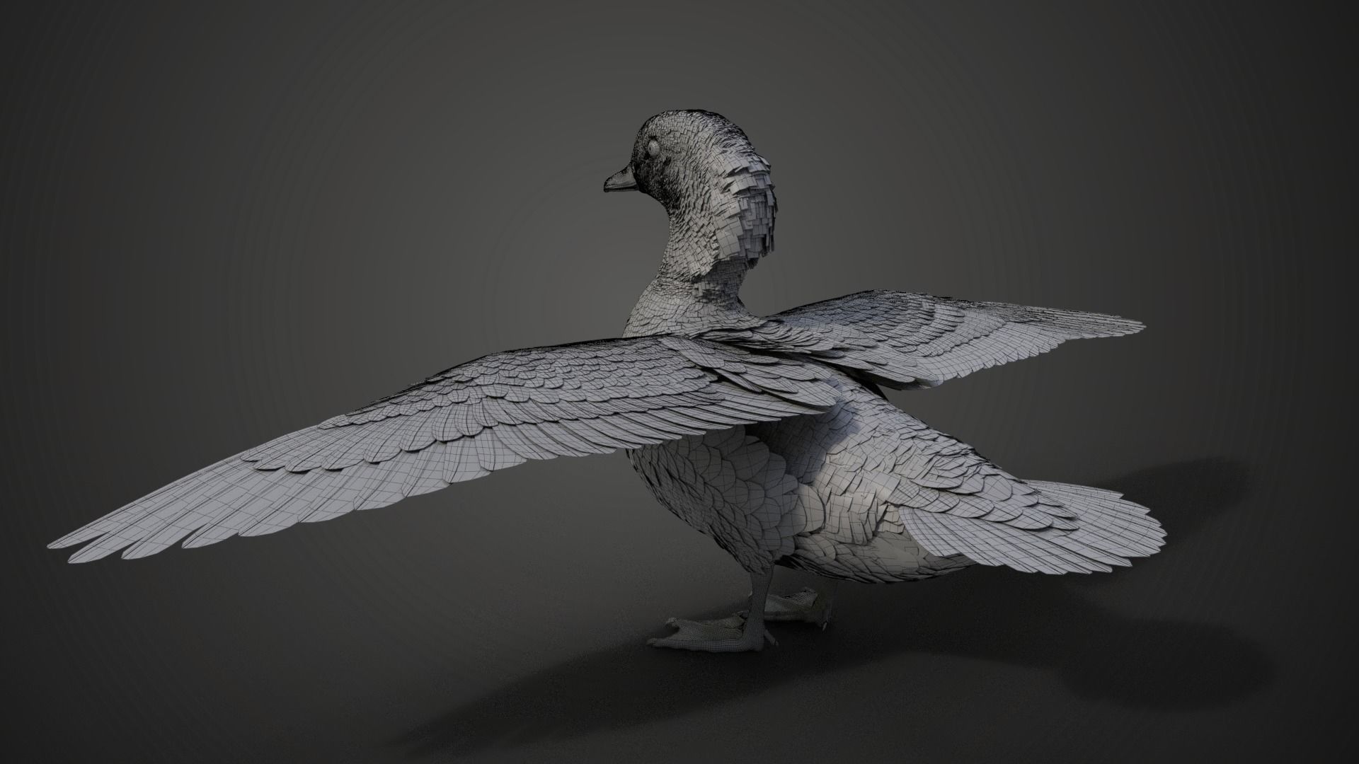Mandarin Duck Female Animated VFX Grace 3D model_18