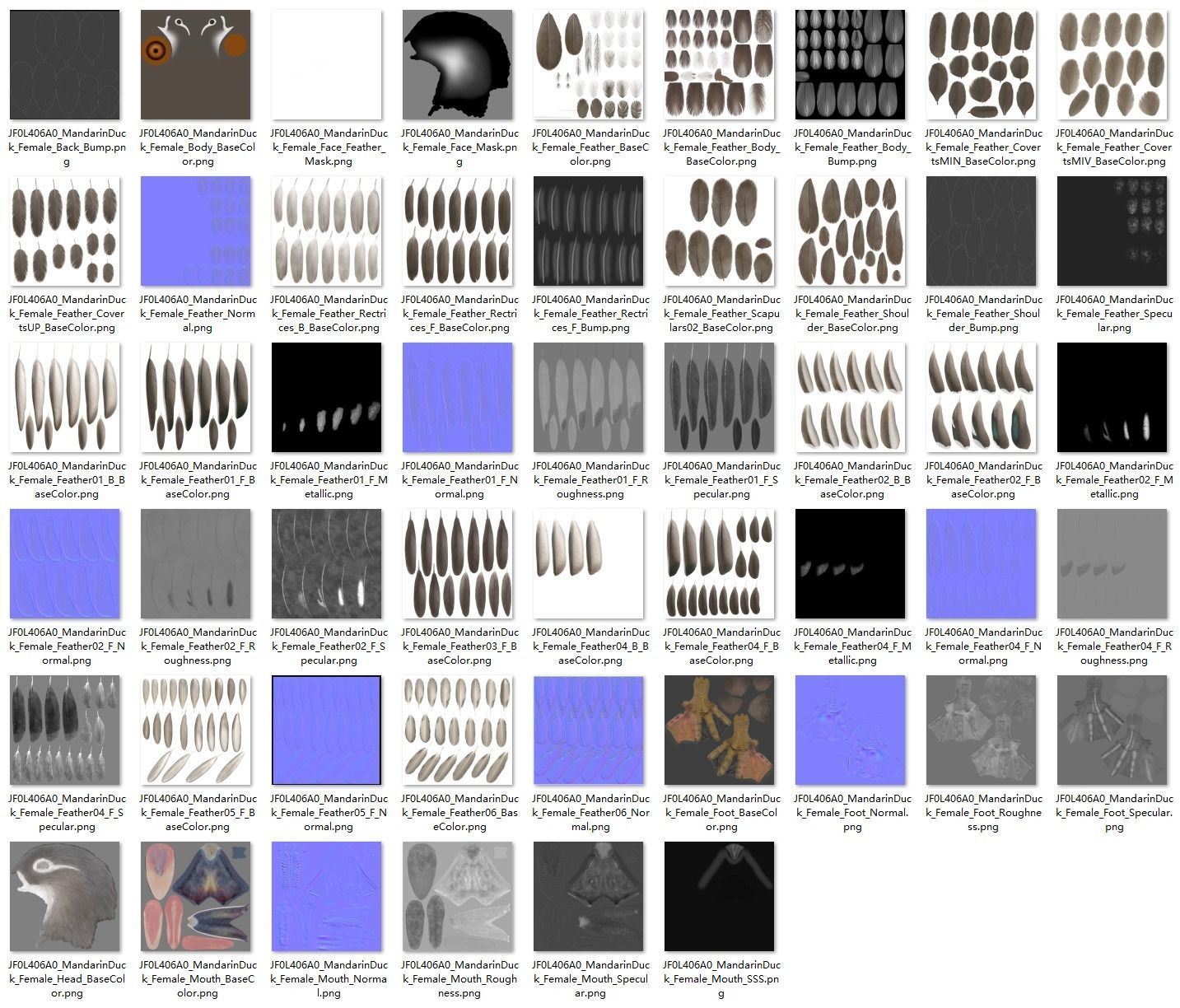 Mandarin Duck Female Animated VFX Grace 3D model_25