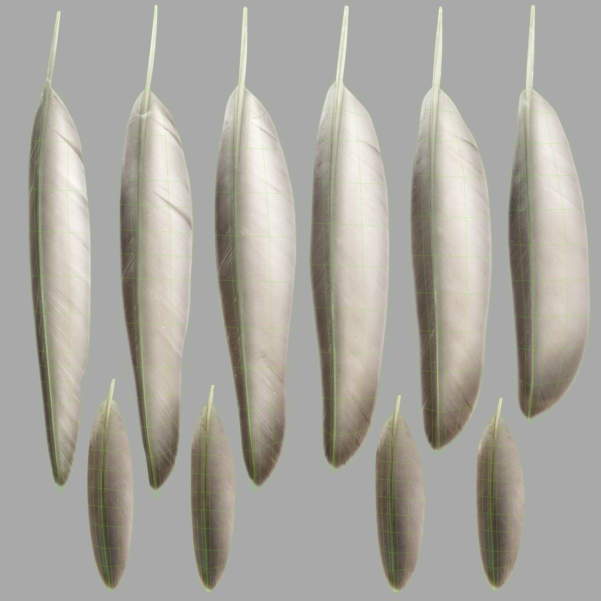 Mandarin Duck Female Animated VFX Grace 3D model_29