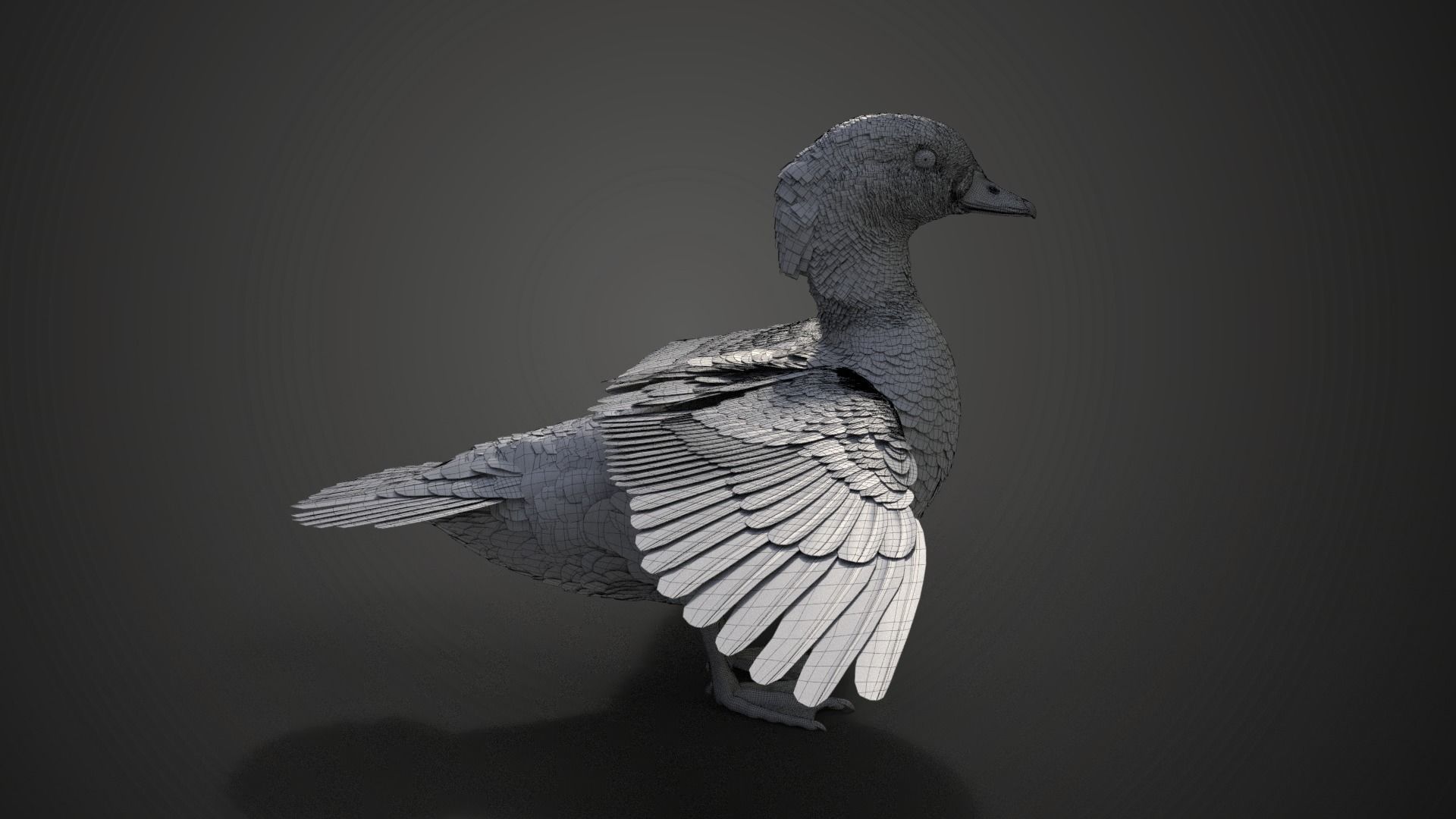 Mandarin Duck Female Animated VFX Grace 3D model_23