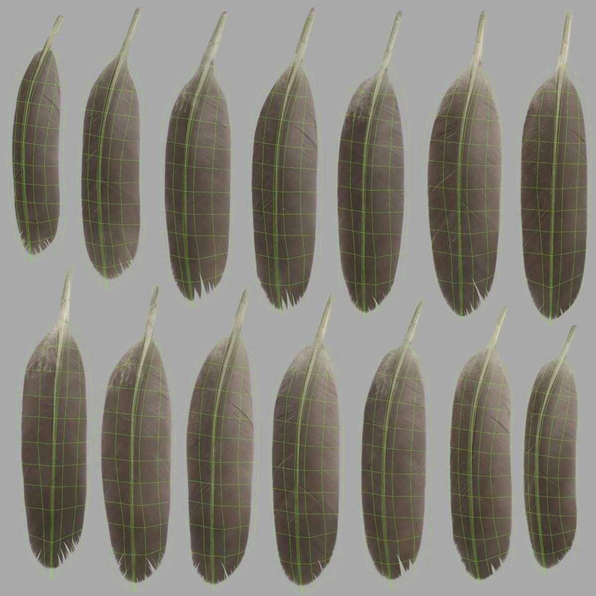 Mandarin Duck Female Animated VFX Grace 3D model_38