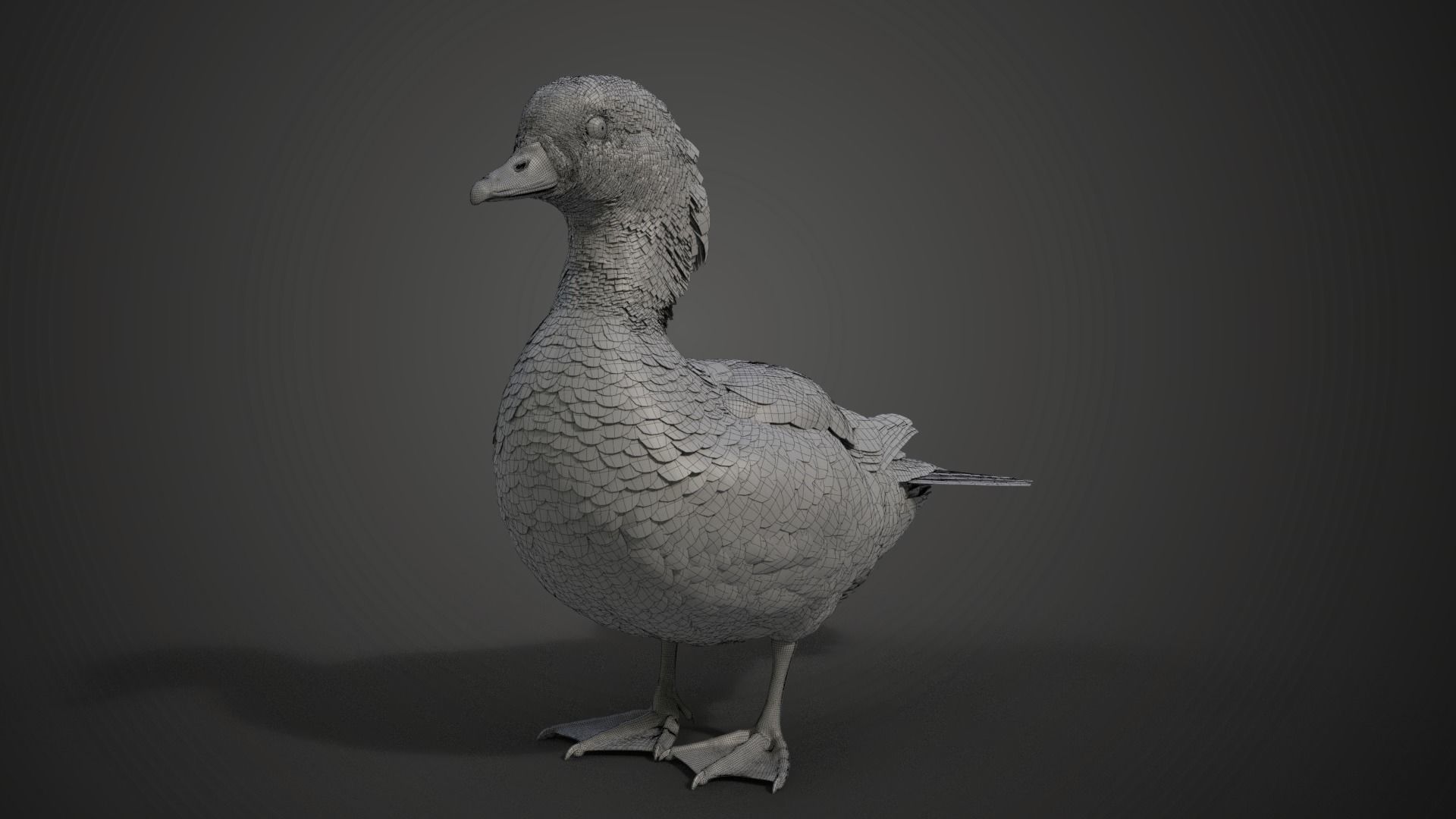 Mandarin Duck Female Animated VFX Grace 3D model_21