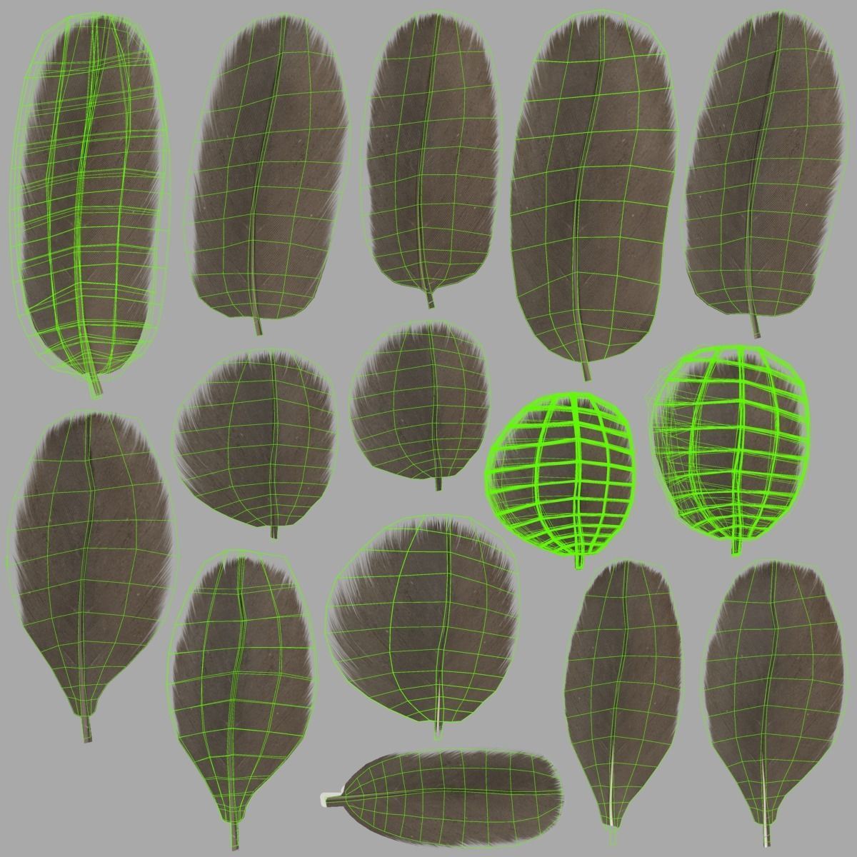 Mandarin Duck Female Animated VFX Grace 3D model_39