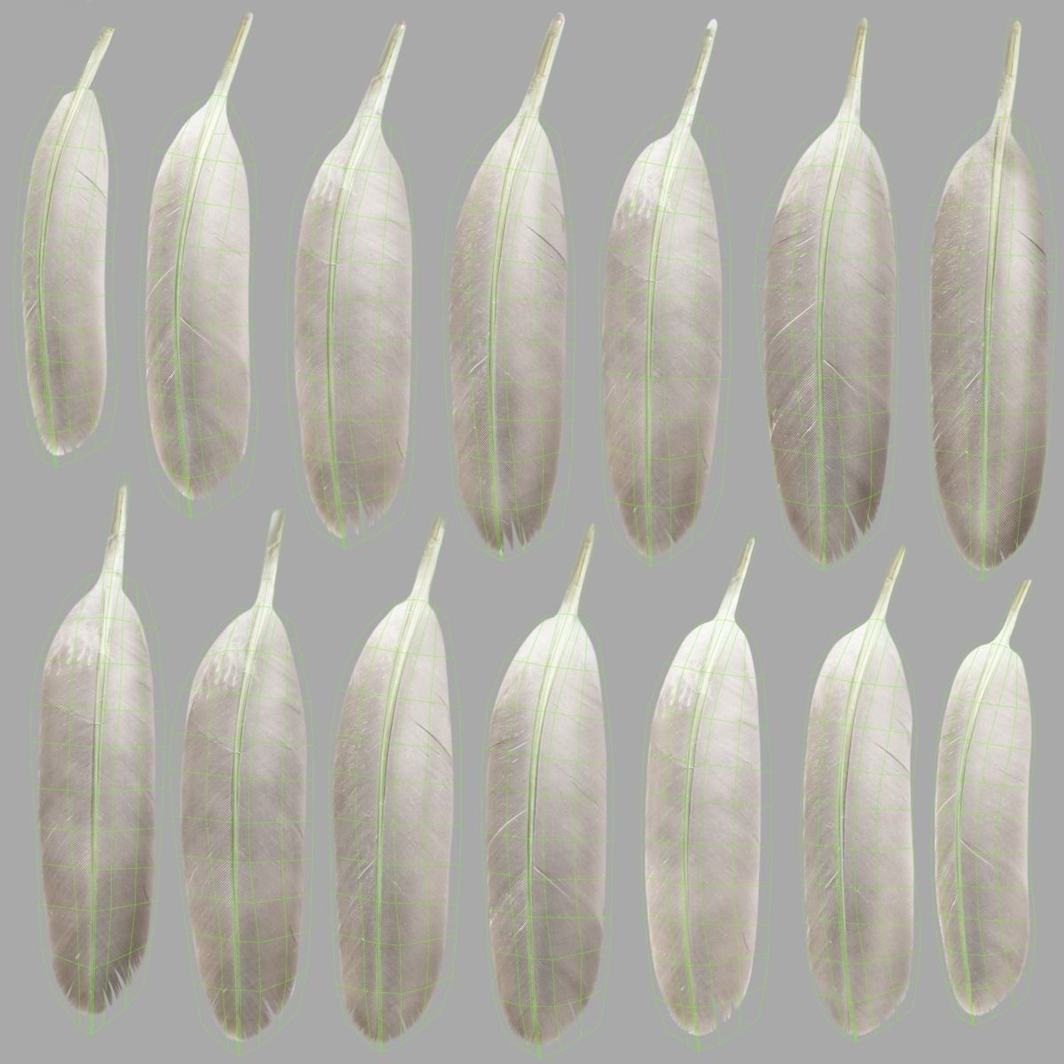 Mandarin Duck Female Animated VFX Grace 3D model_35