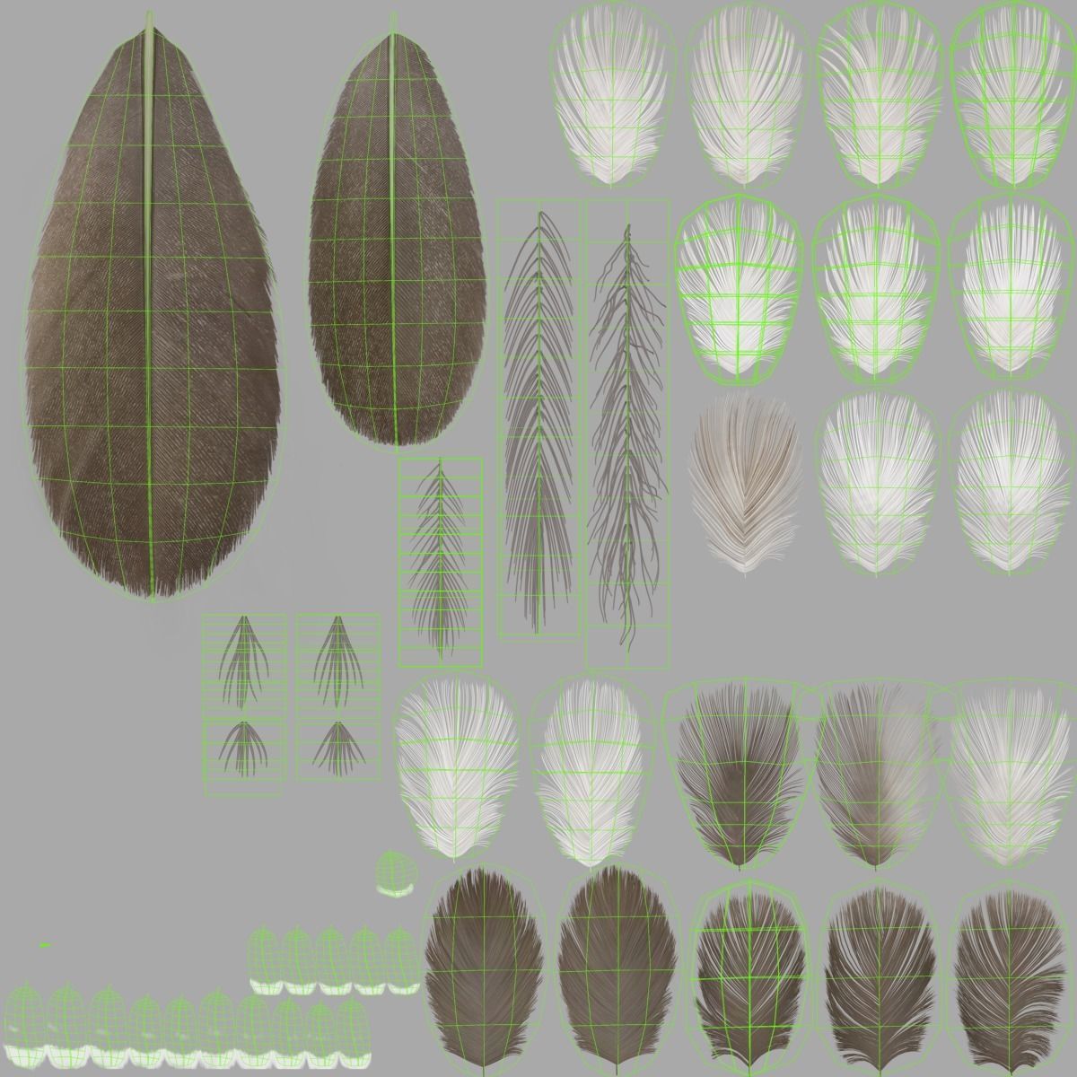 Mandarin Duck Female Animated VFX Grace 3D model_33