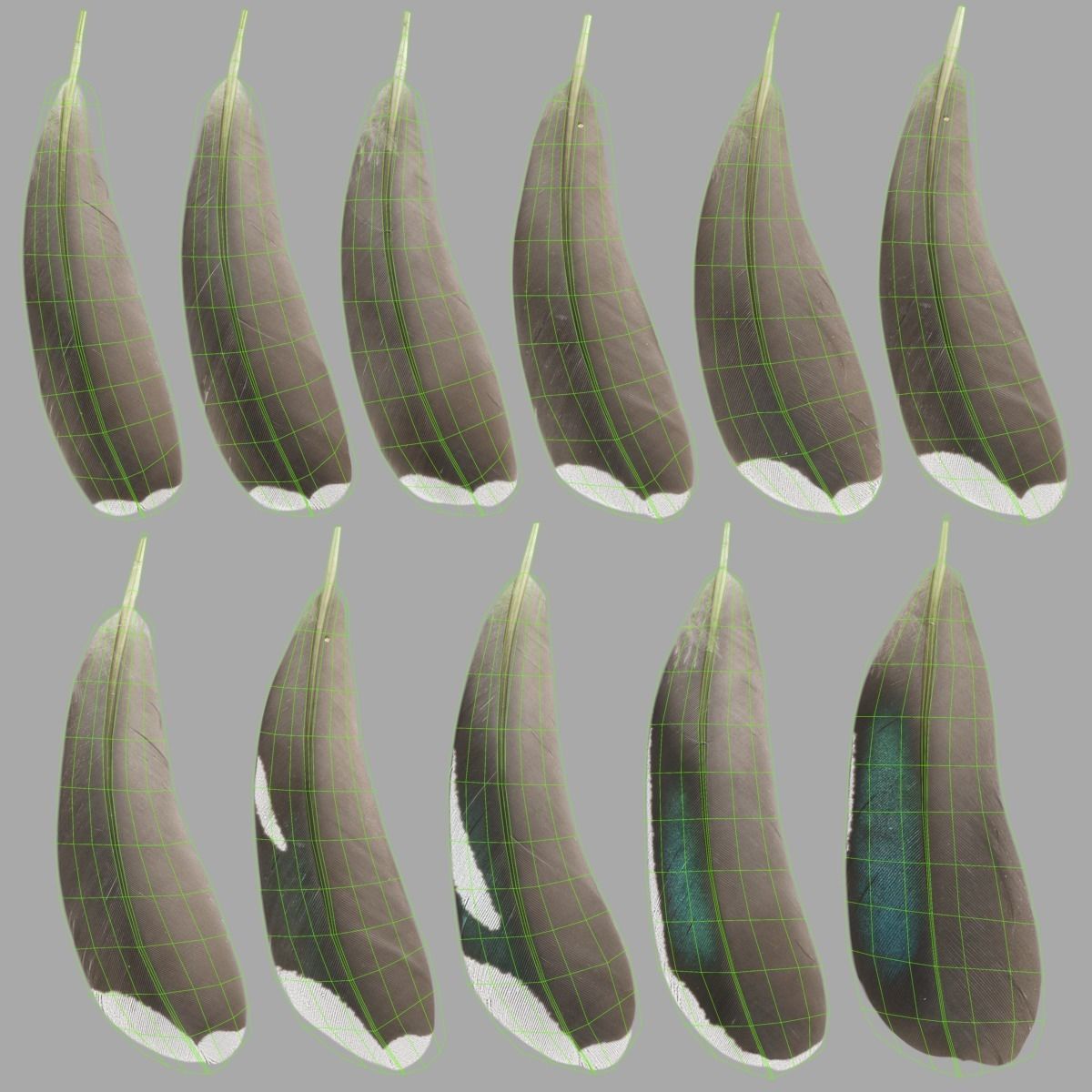 Mandarin Duck Female Animated VFX Grace 3D model_36