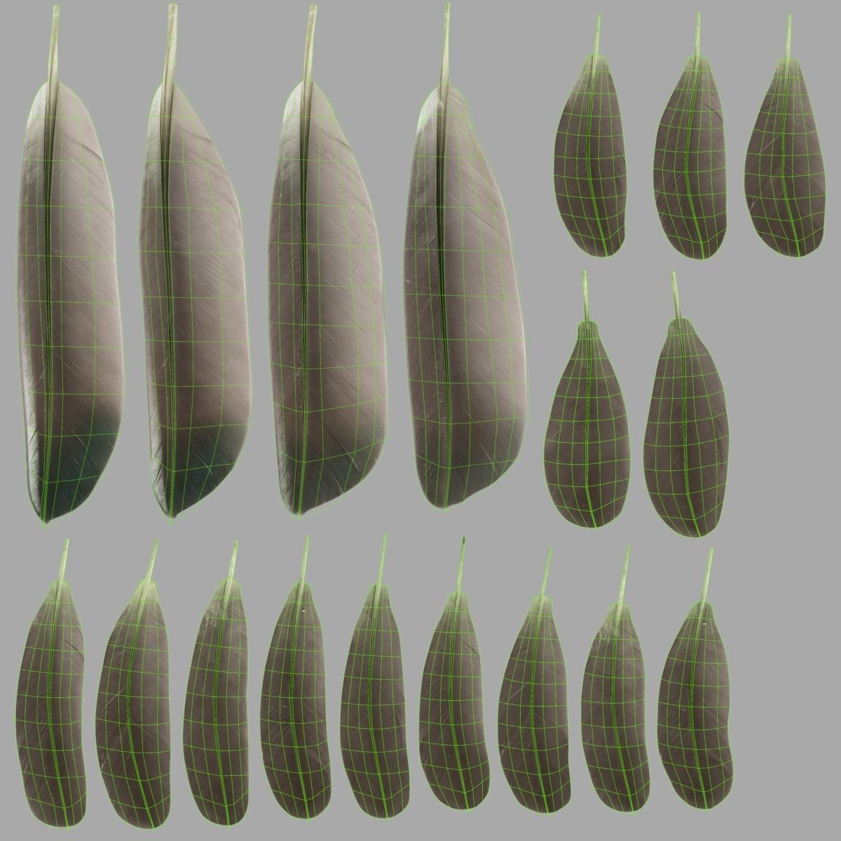 Mandarin Duck Female Animated VFX Grace 3D model_26