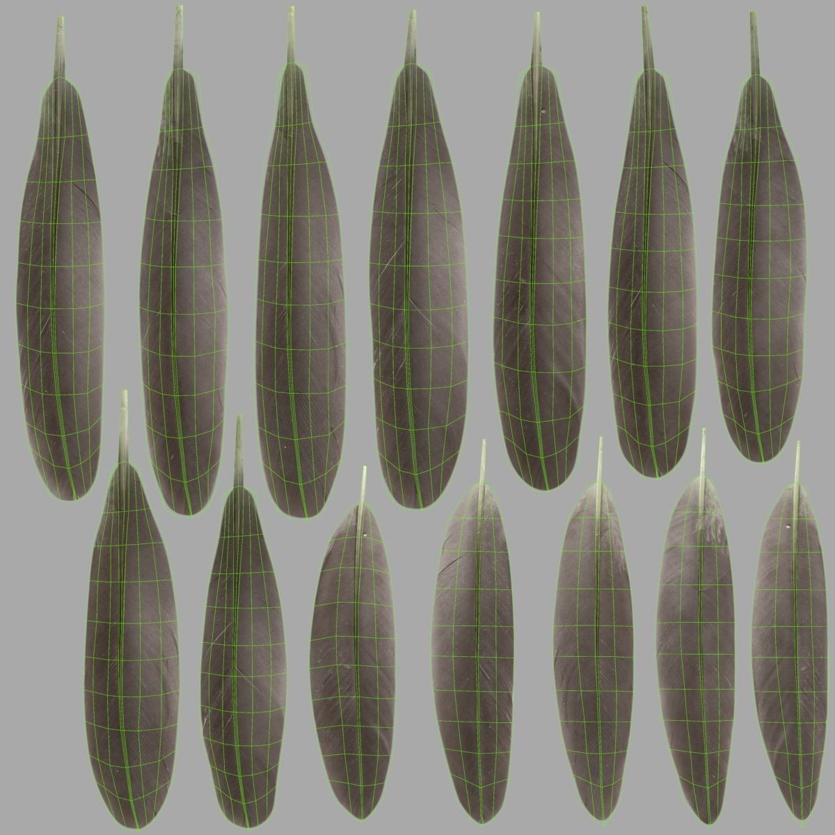 Mandarin Duck Female Animated VFX Grace 3D model_34