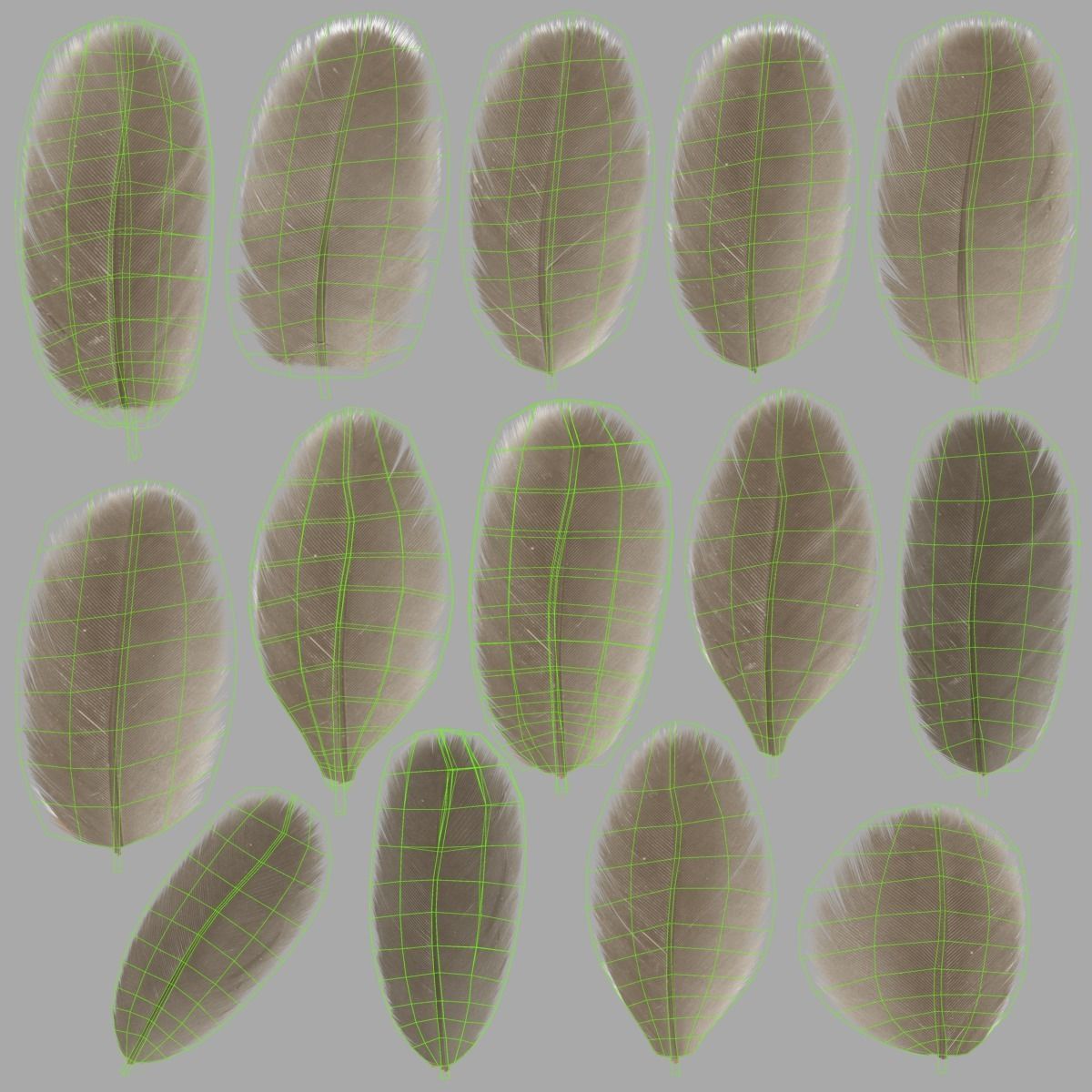 Mandarin Duck Female Animated VFX Grace 3D model_43