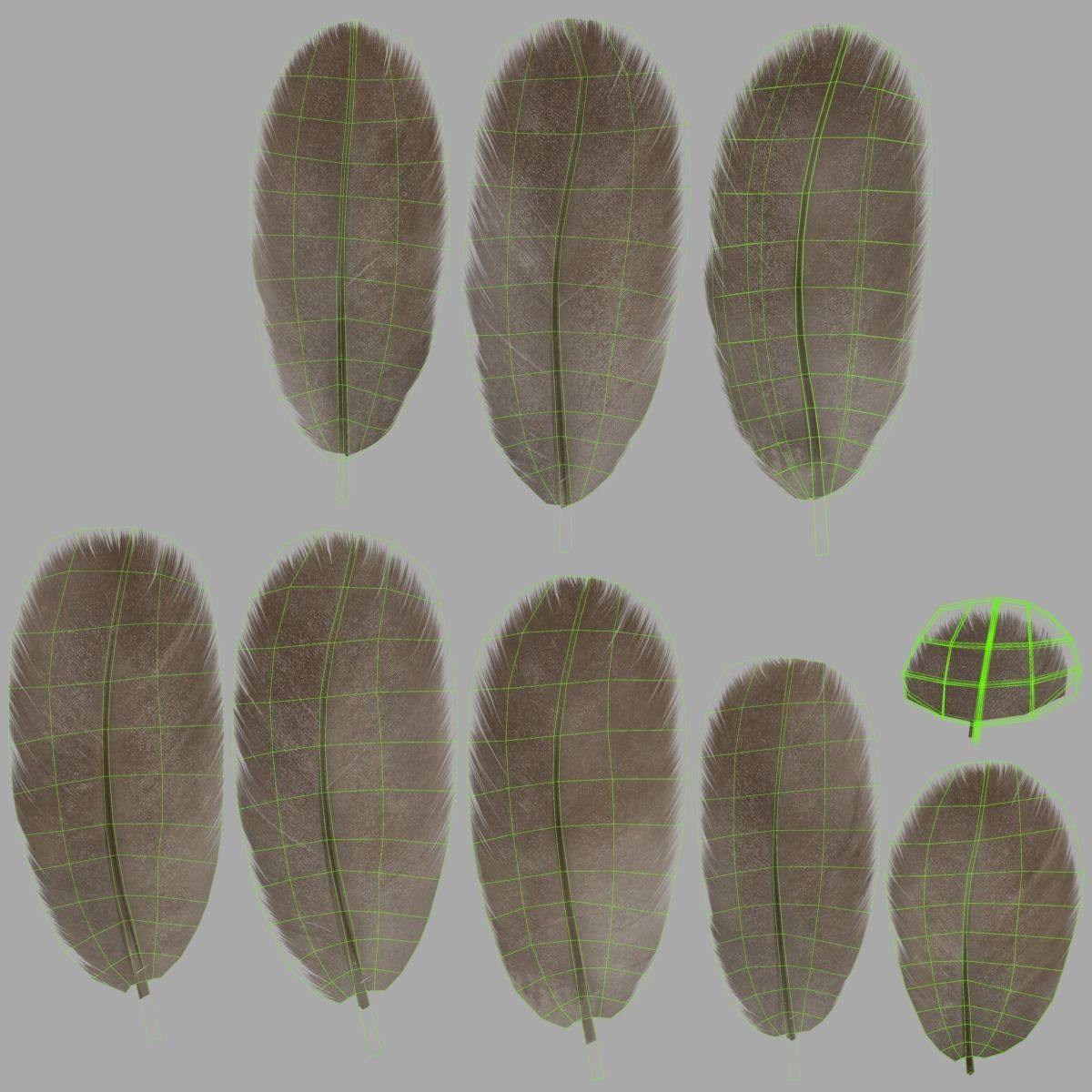 Mandarin Duck Female Animated VFX Grace 3D model_40