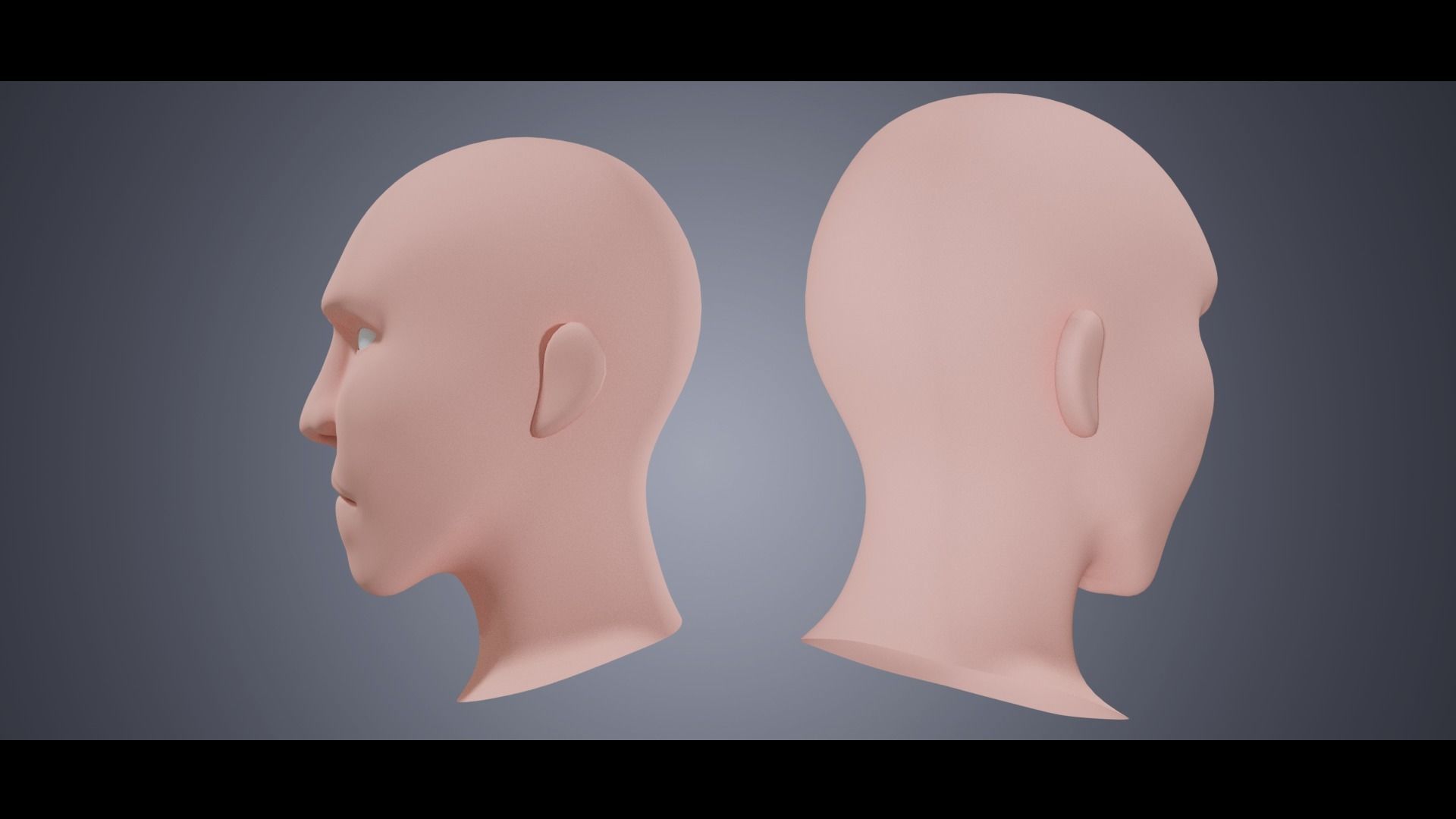 Base Head 02 Free low-poly 3D model_1