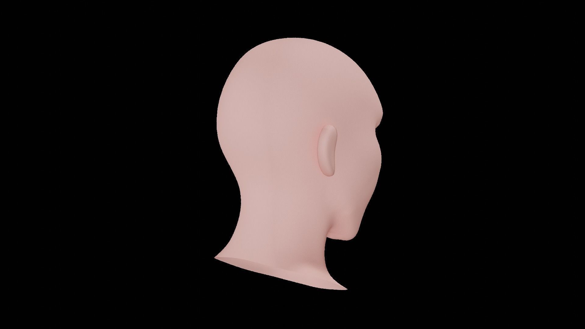 Base Head 02 Free low-poly 3D model_14