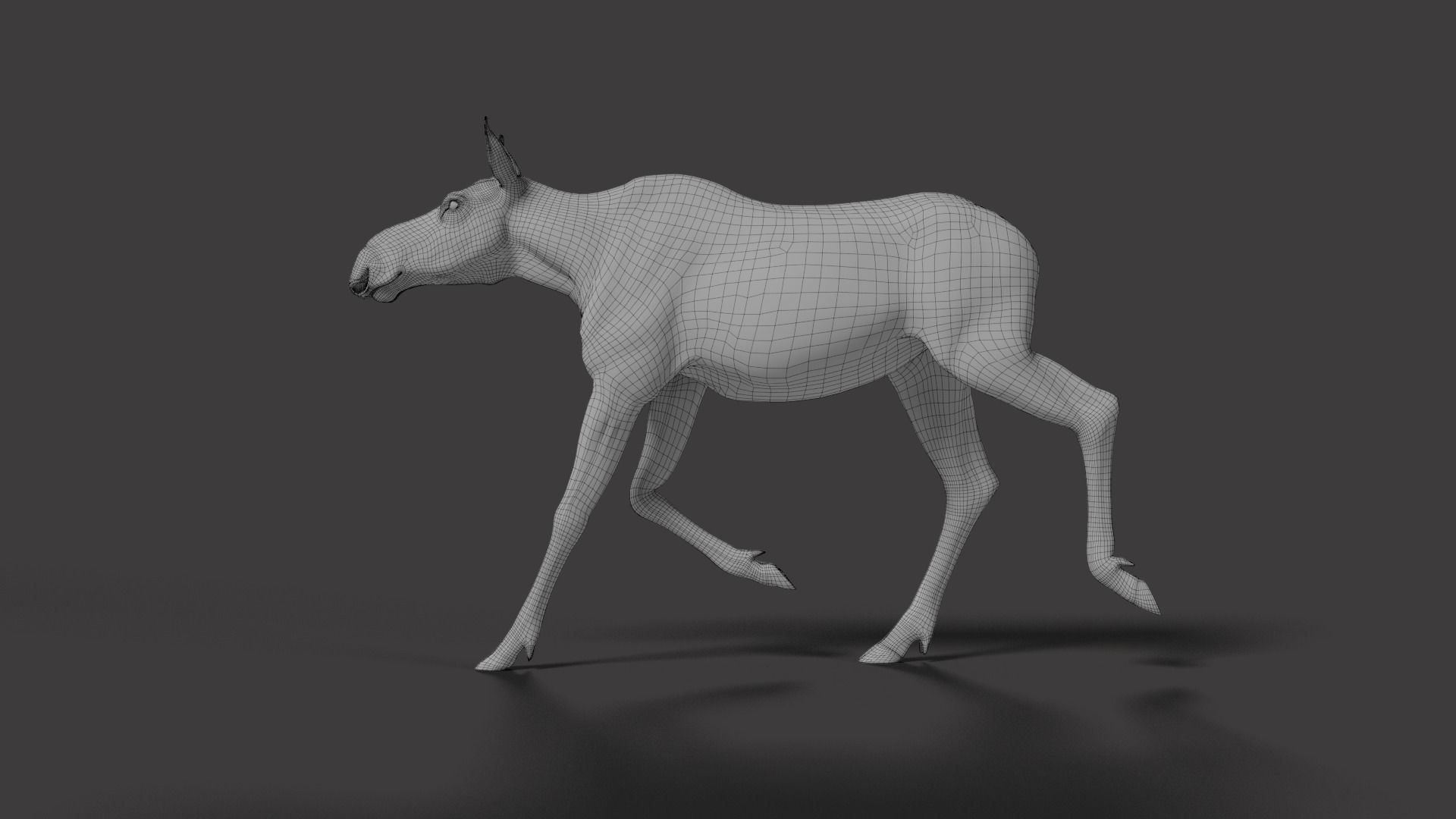 Moose Female Animated VFX Grace 3D model_18