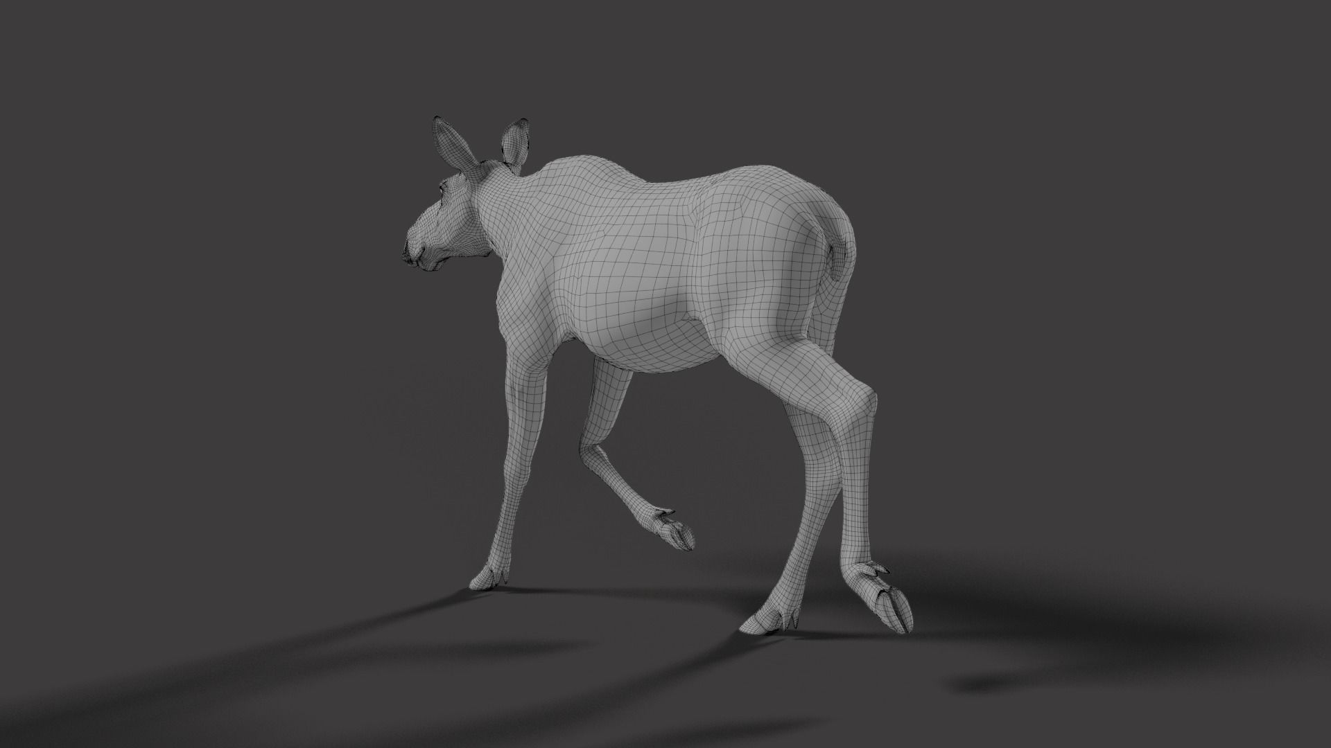 Moose Female Animated VFX Grace 3D model_17