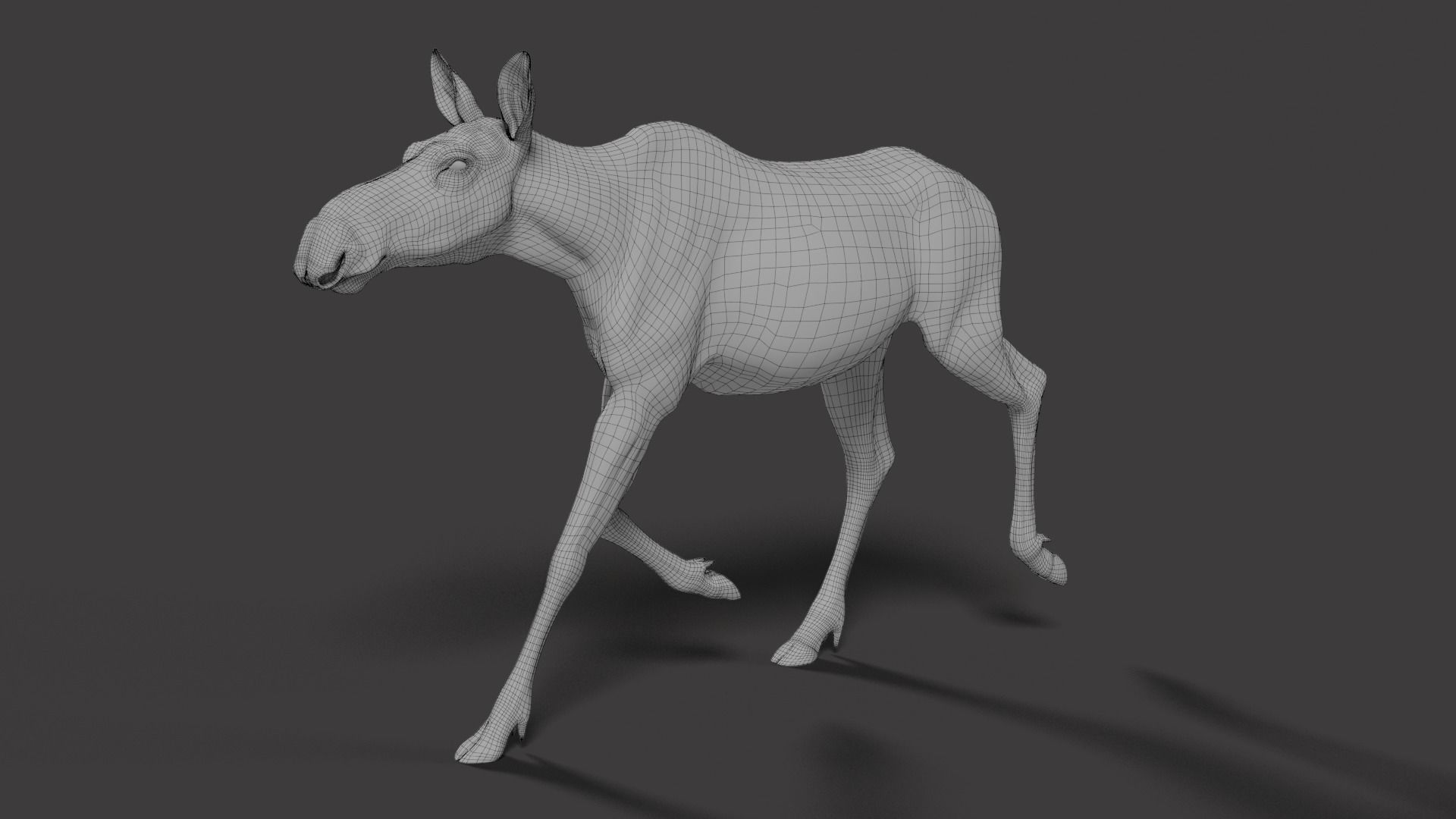 Moose Female Animated VFX Grace 3D model_19