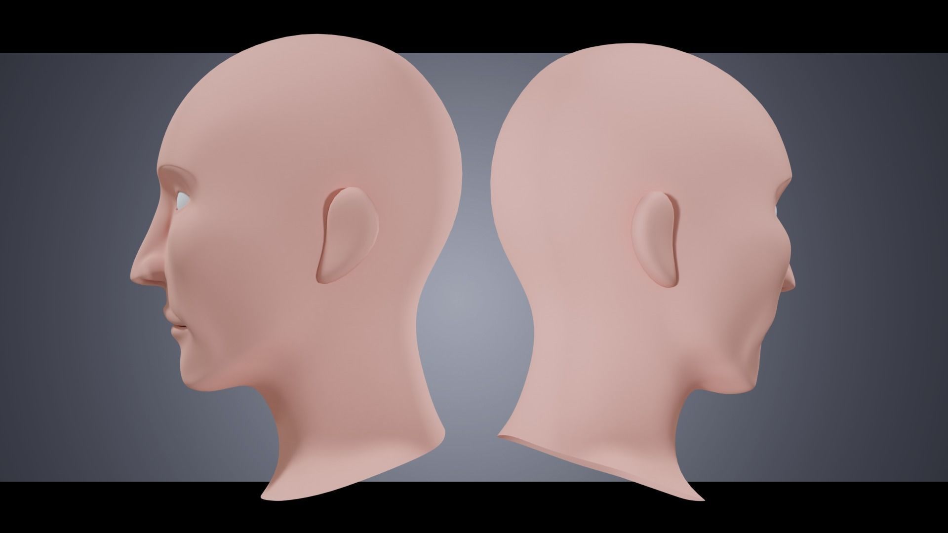 Base Head 03 Free low-poly 3D model_1