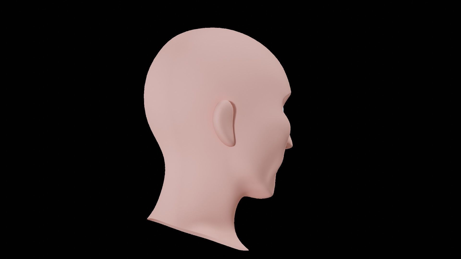 Base Head 03 Free low-poly 3D model_13