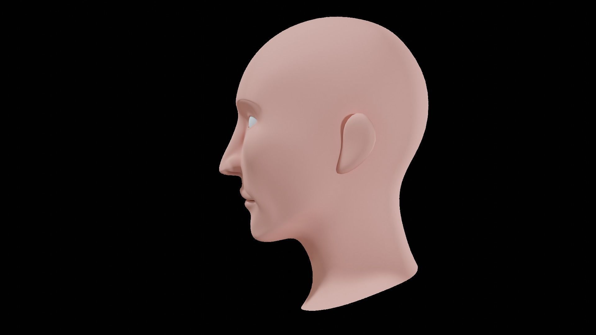 Base Head 03 Free low-poly 3D model_12
