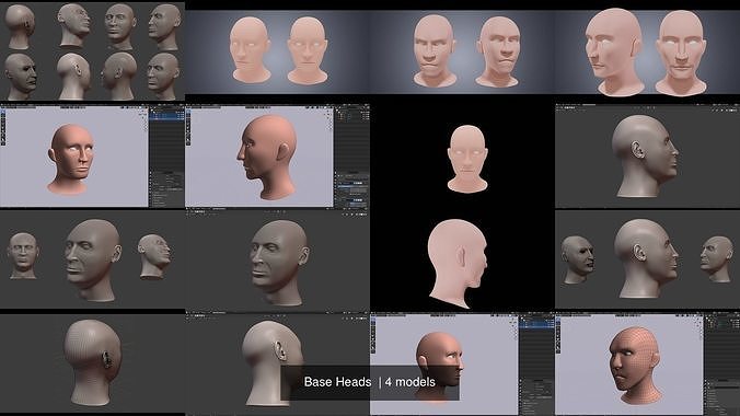 Base Heads  3D Model Collection