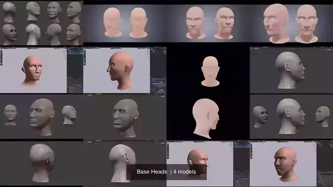 Base Heads  3D Model Collection