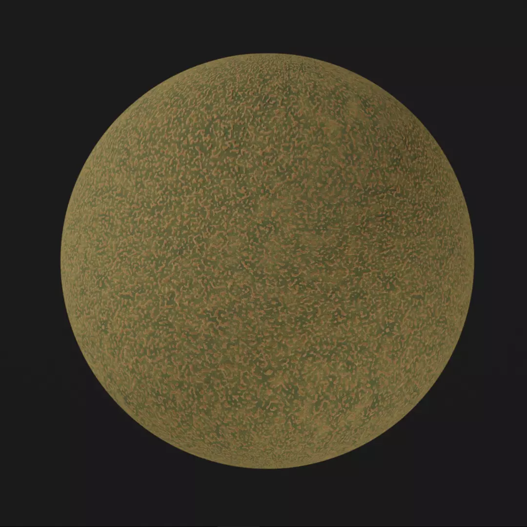 Selected Kiwi materials for tutorial Free 3D model