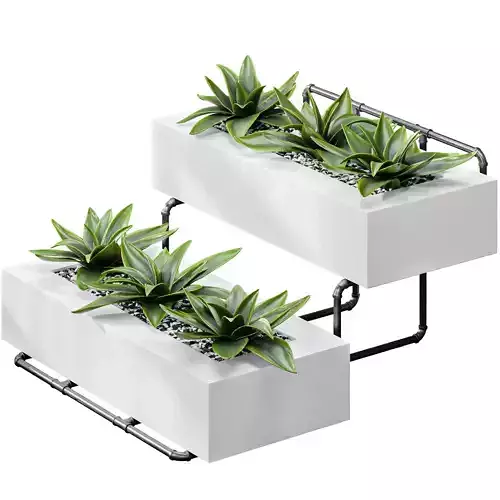 Showcase Office Plants Execuflora Air Purifying 3D model