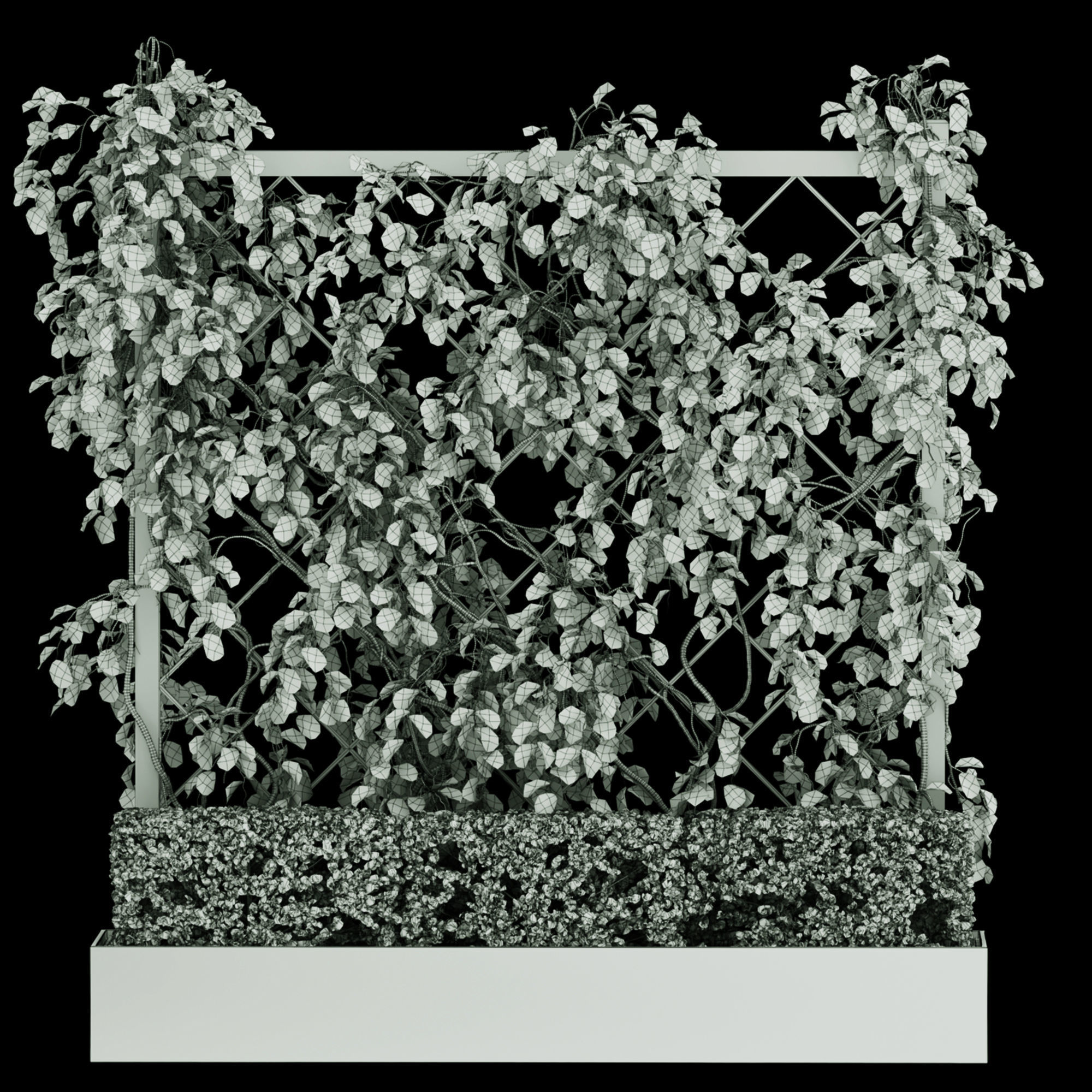 Vertical Garden - Planter with trellis 3D model_2