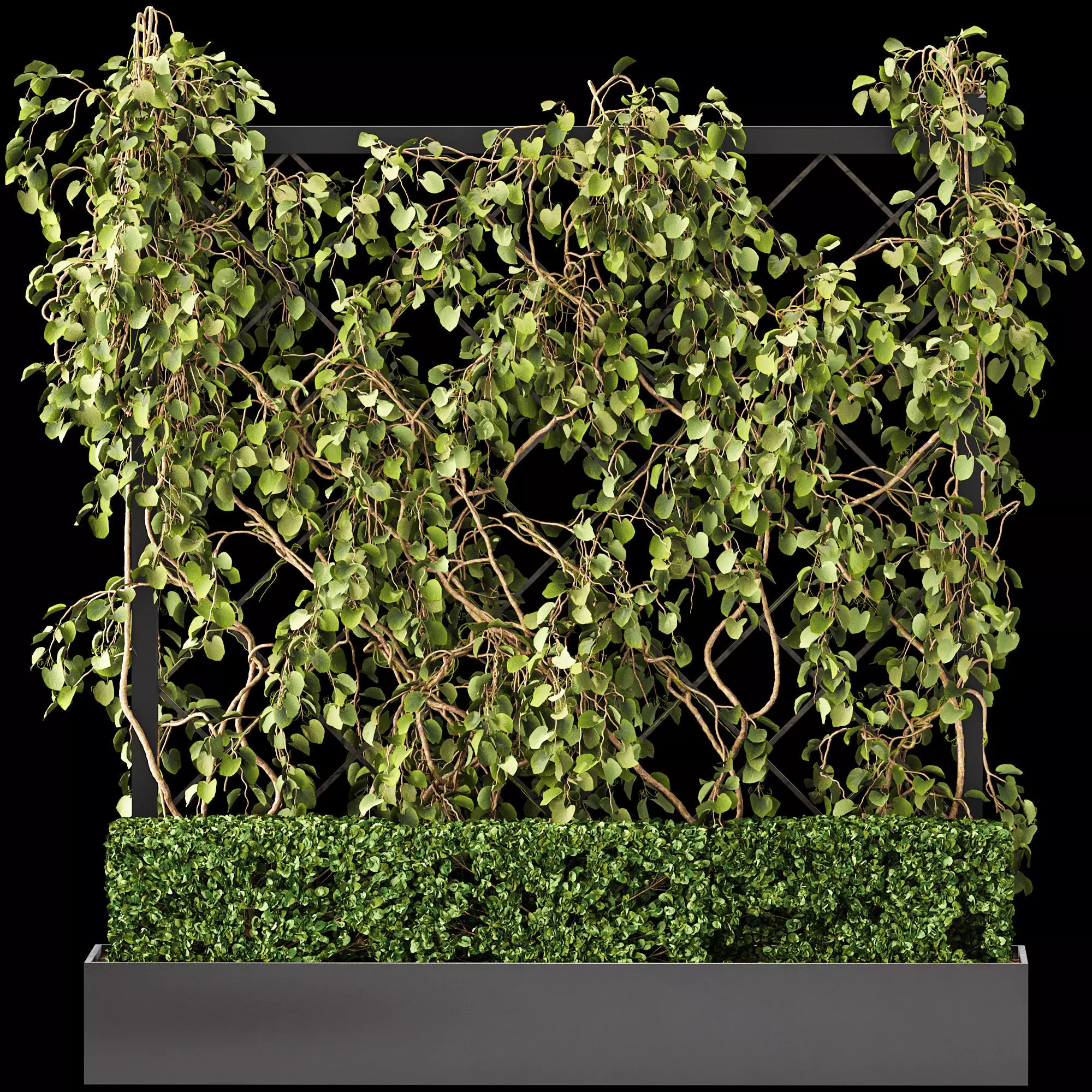Vertical Garden - Planter with trellis 3D model_0