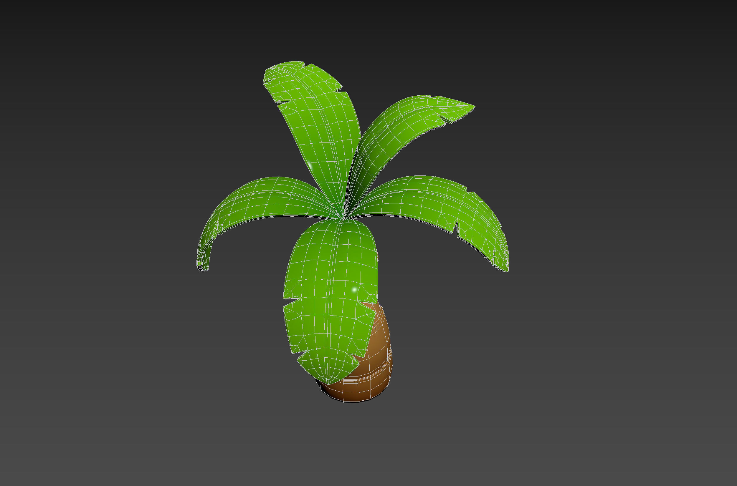 Cartoon Palm 001 3D model_20