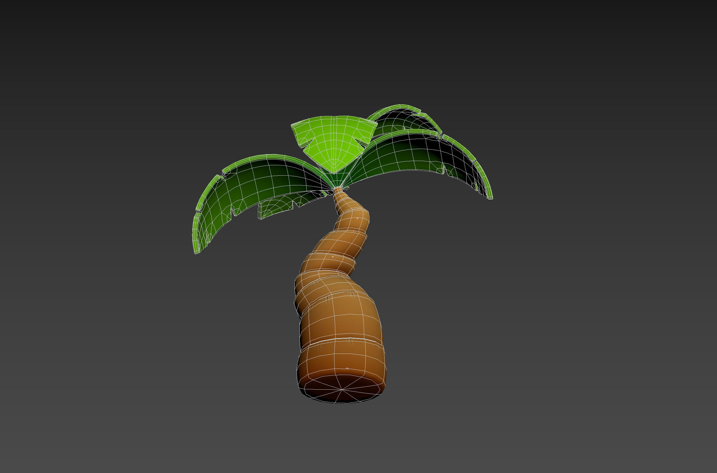 Cartoon Palm 001 3D model_21