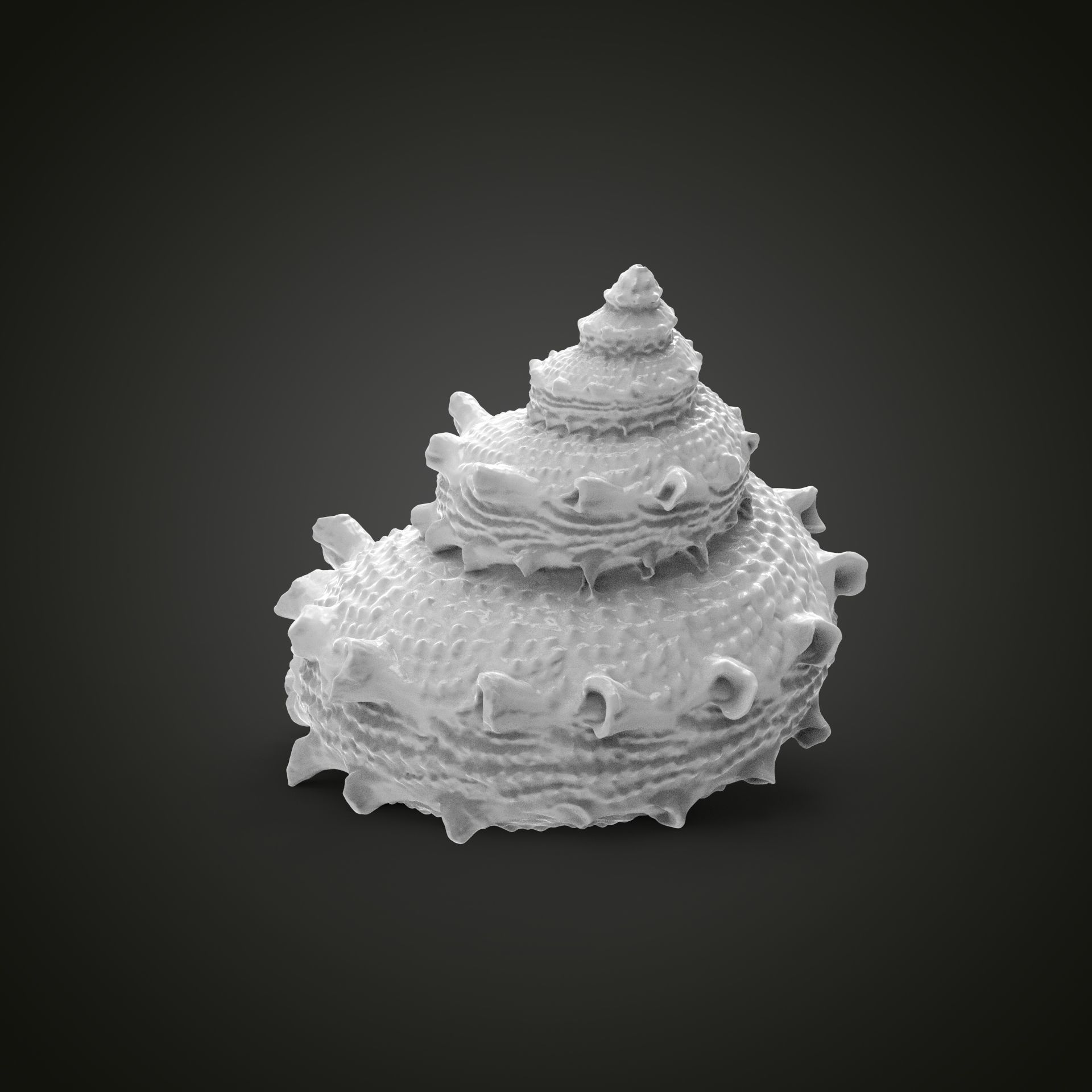 High poly sea shell 3D print model_1