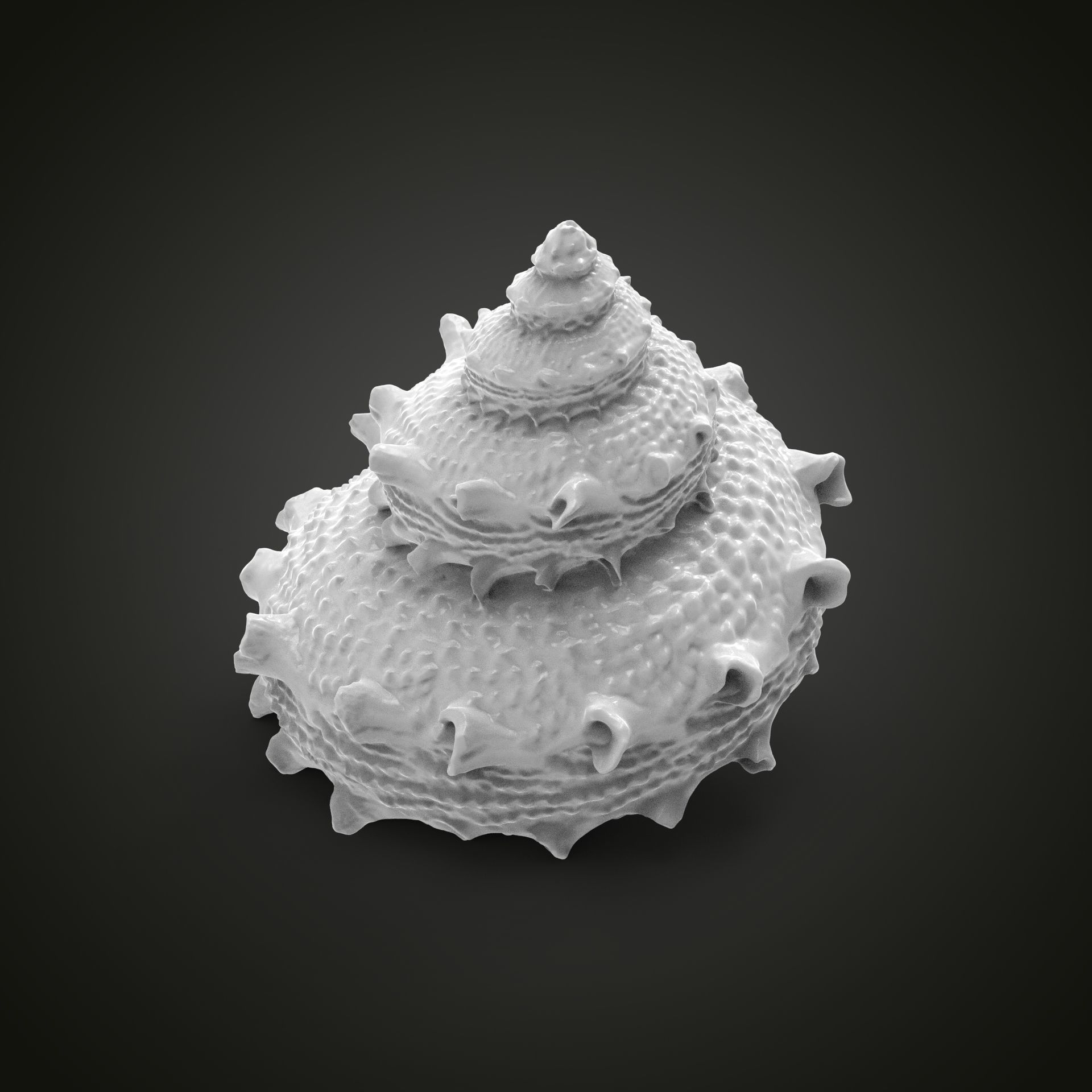 High poly sea shell 3D print model_7