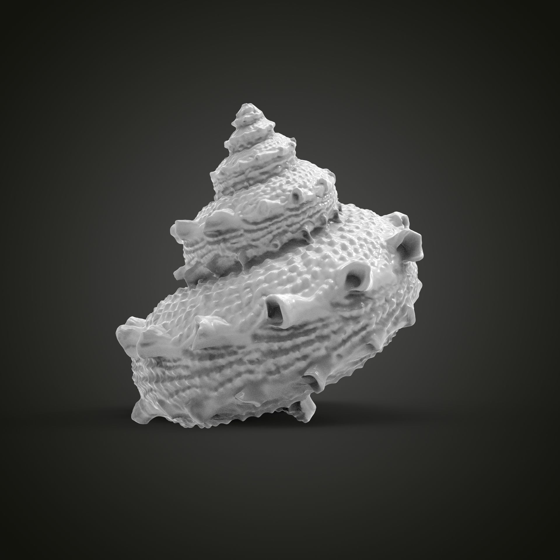 High poly sea shell 3D print model_4