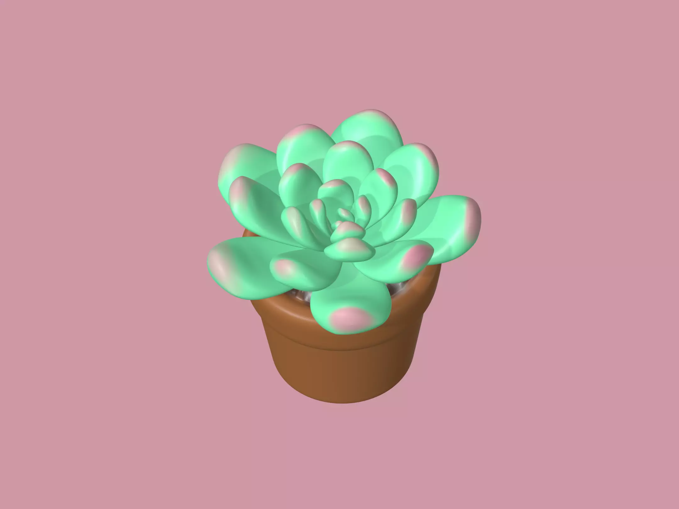 Cactus succulent plant in pot 3D model_0