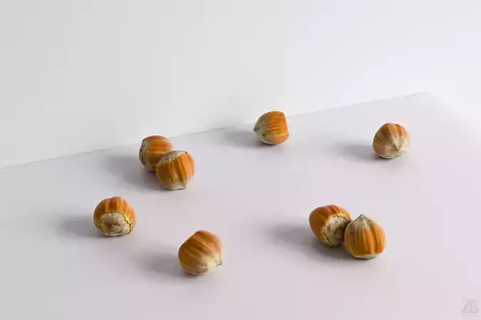 Hazelnut 3D model