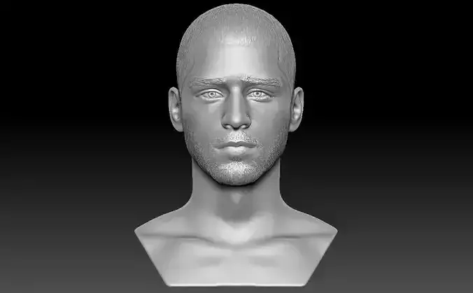 Zayn Malik bust for 3D printing 3D print model